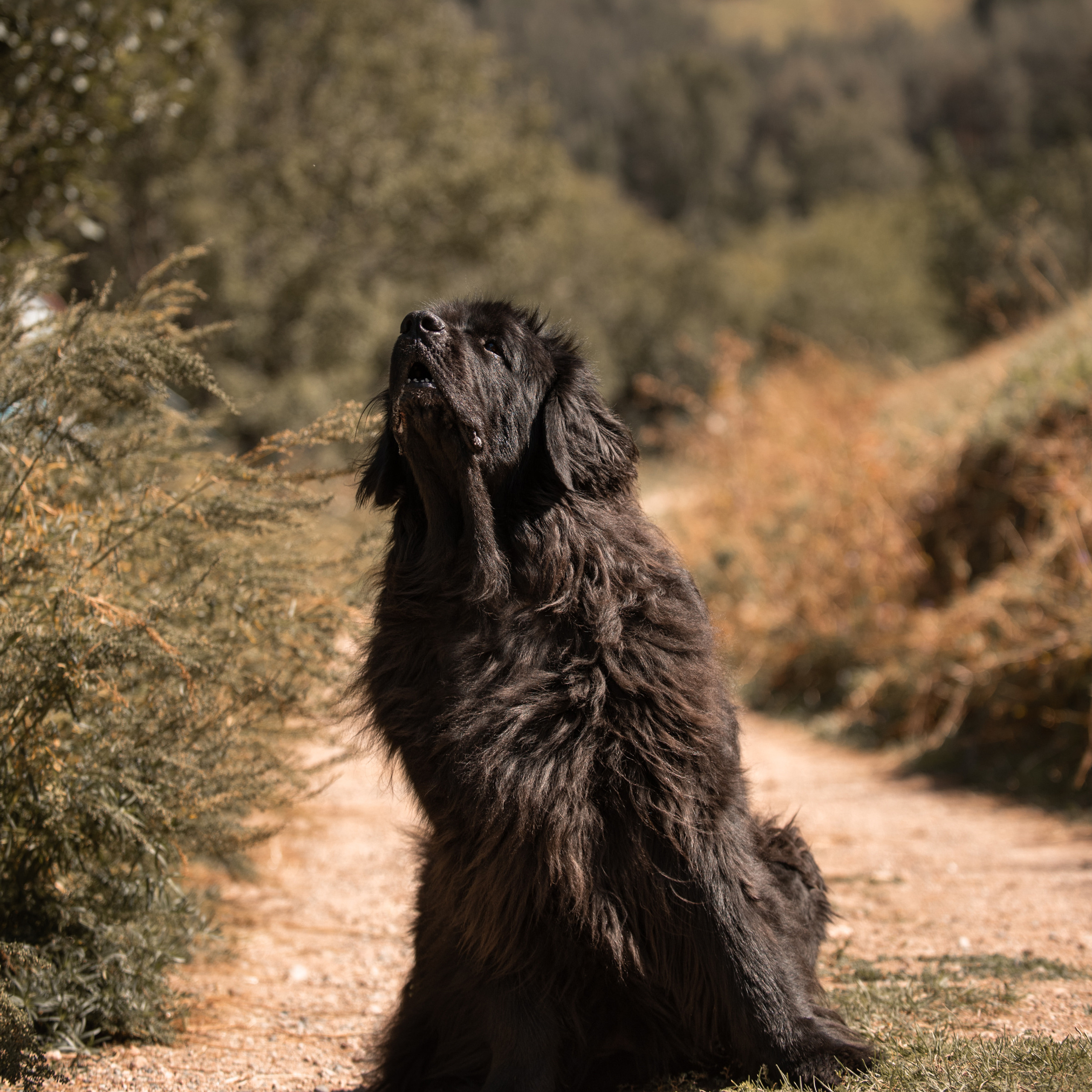 Отзывы о Таня Асфирь. Фотограф в Белграде Таня Асфирь
