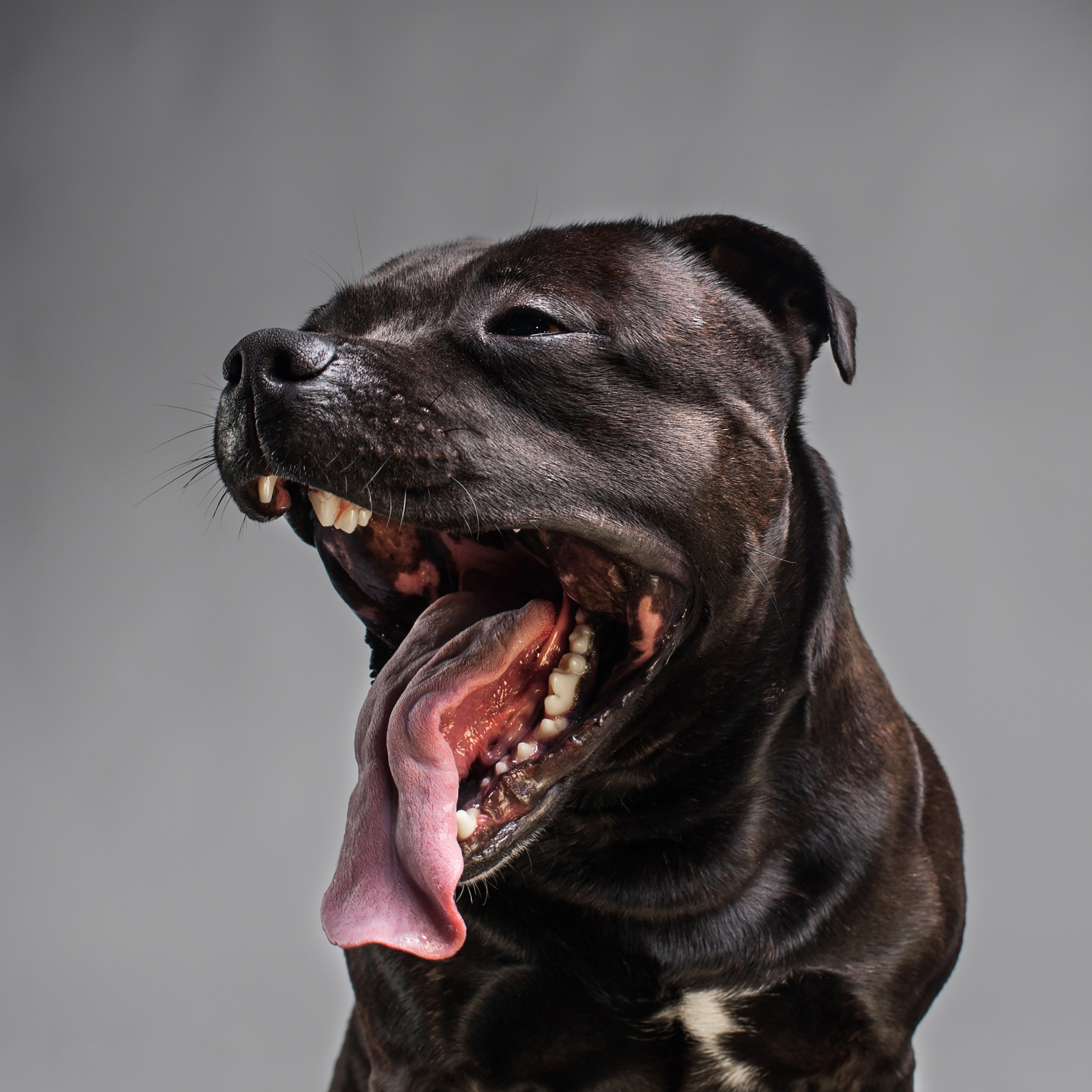 Фотопроект Мимика. Фотограф в Белграде Таня Асфирь