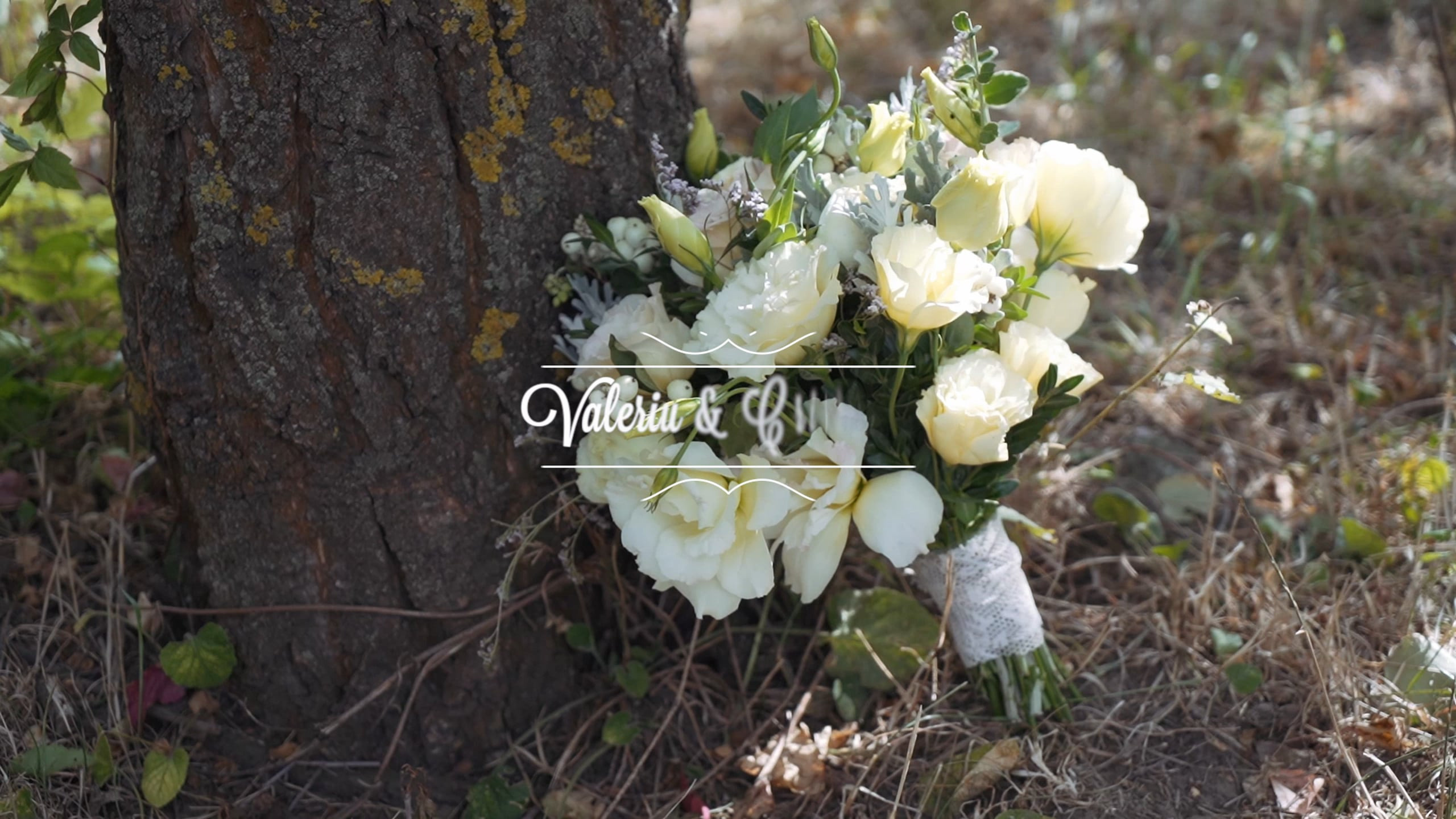 Video portfolio wed-film studio. Wed-Film studio -Servicii foto și video pentru nunta în Moldova