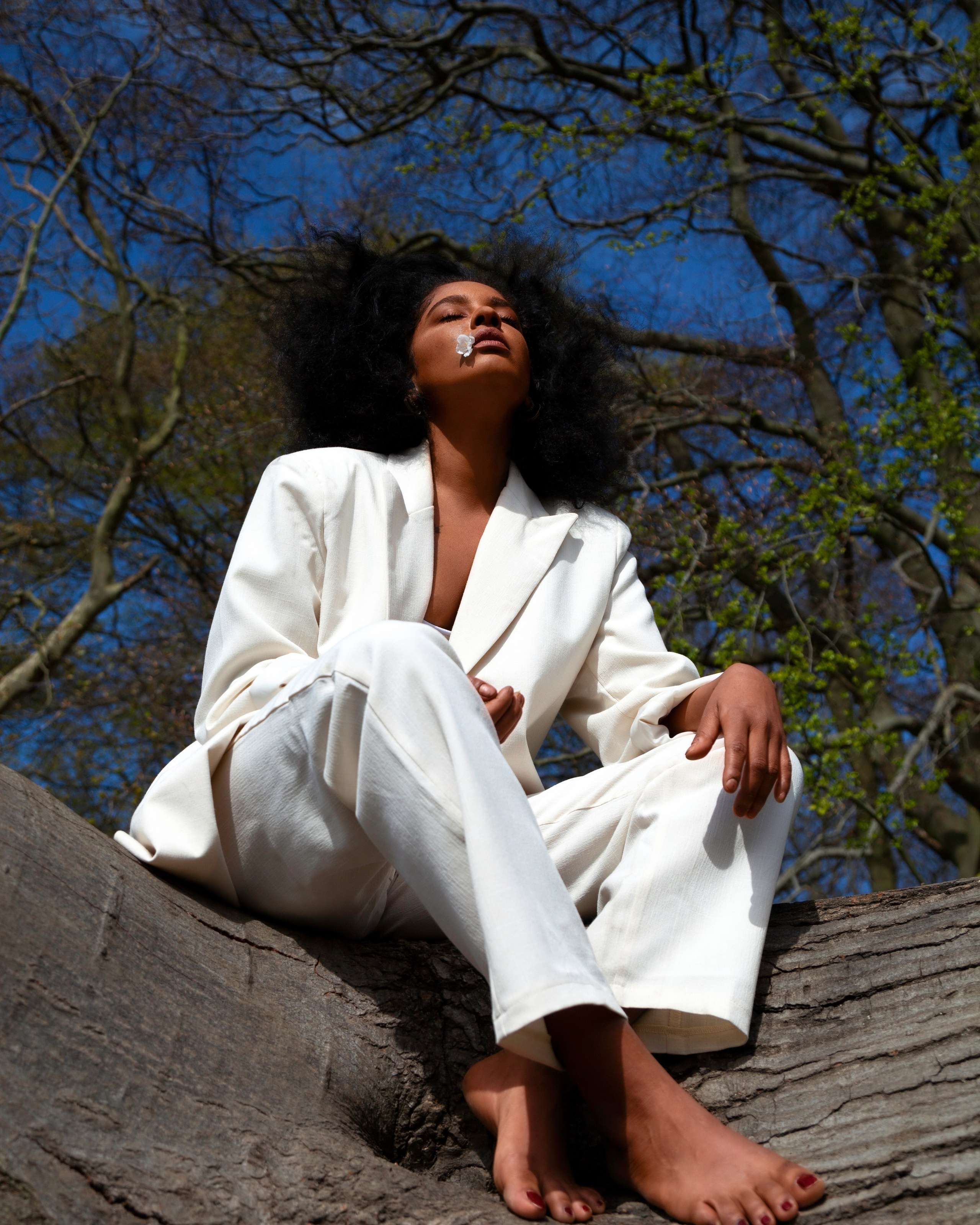 Rebeca&nbsp;— Hampstead trees