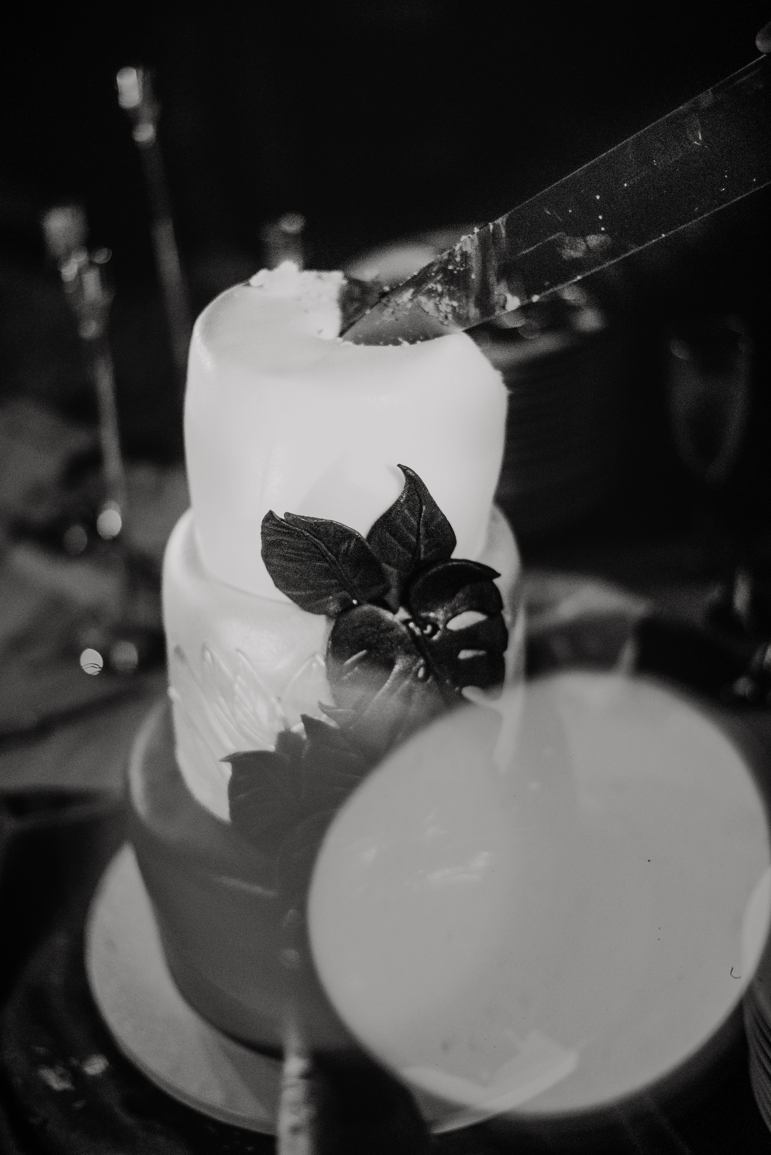 Garret + Filipe. Lifestyle, wedding and family photographer