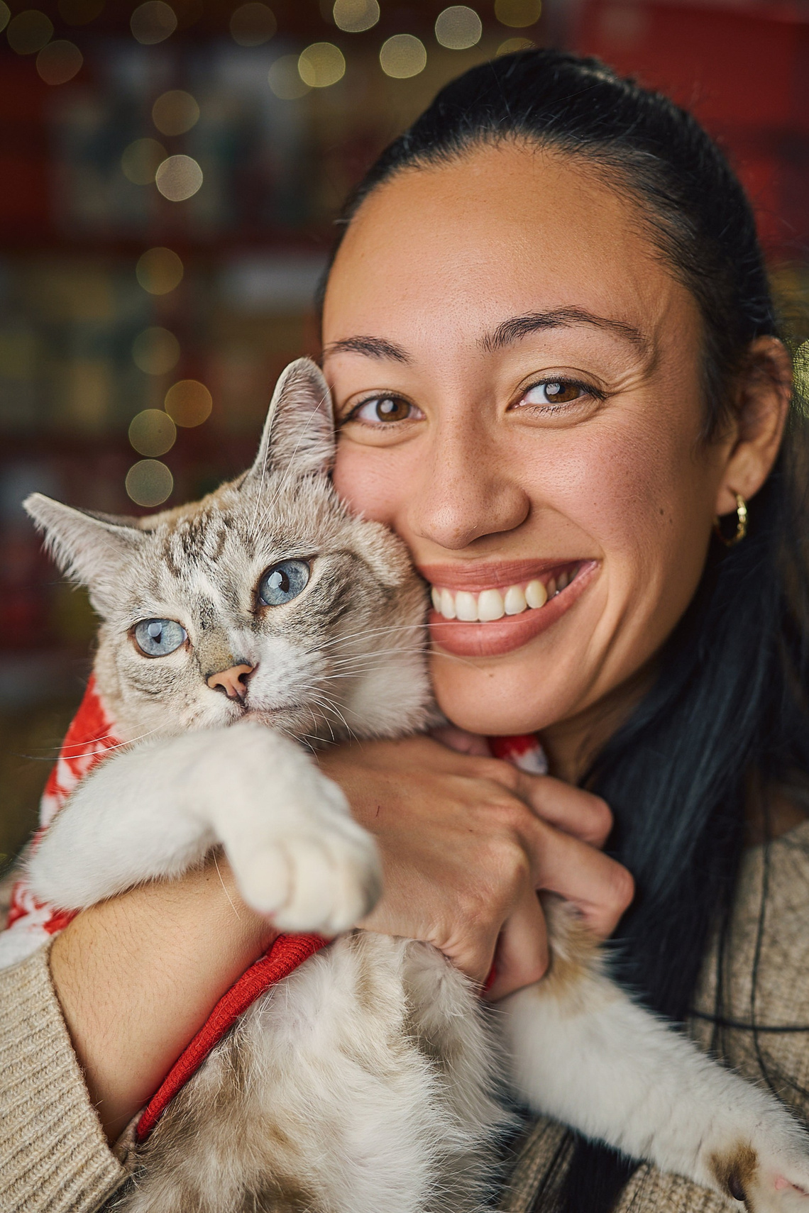 Gato junto a su familia en decorado navideño.