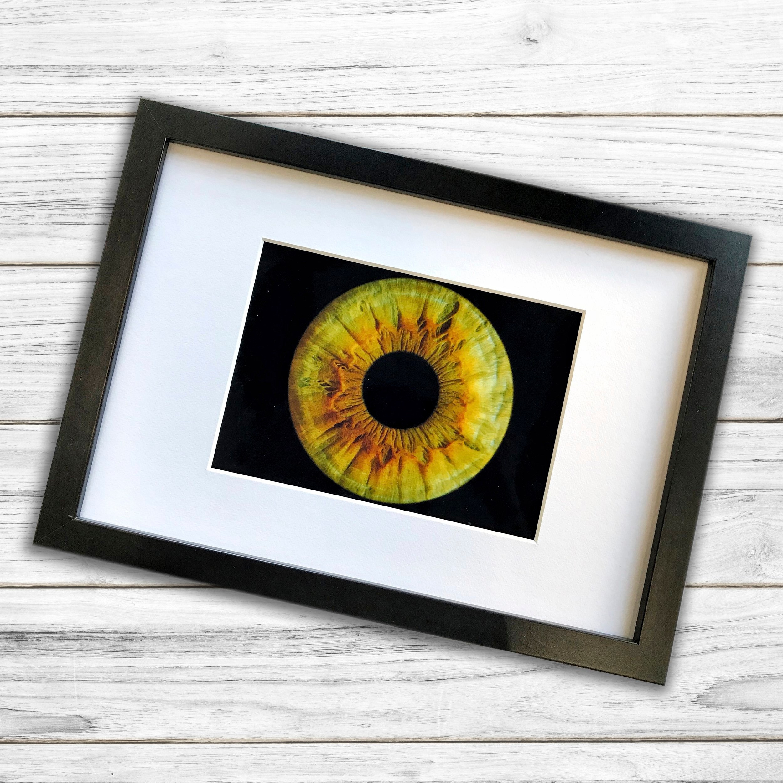 Hi, my name is Eric T and I am Iris photographer