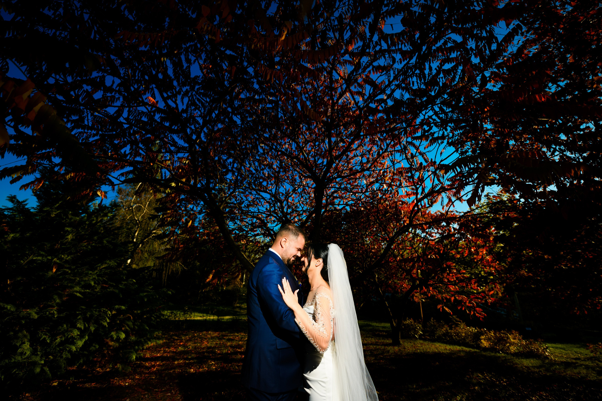 Alin Doana Visual Art