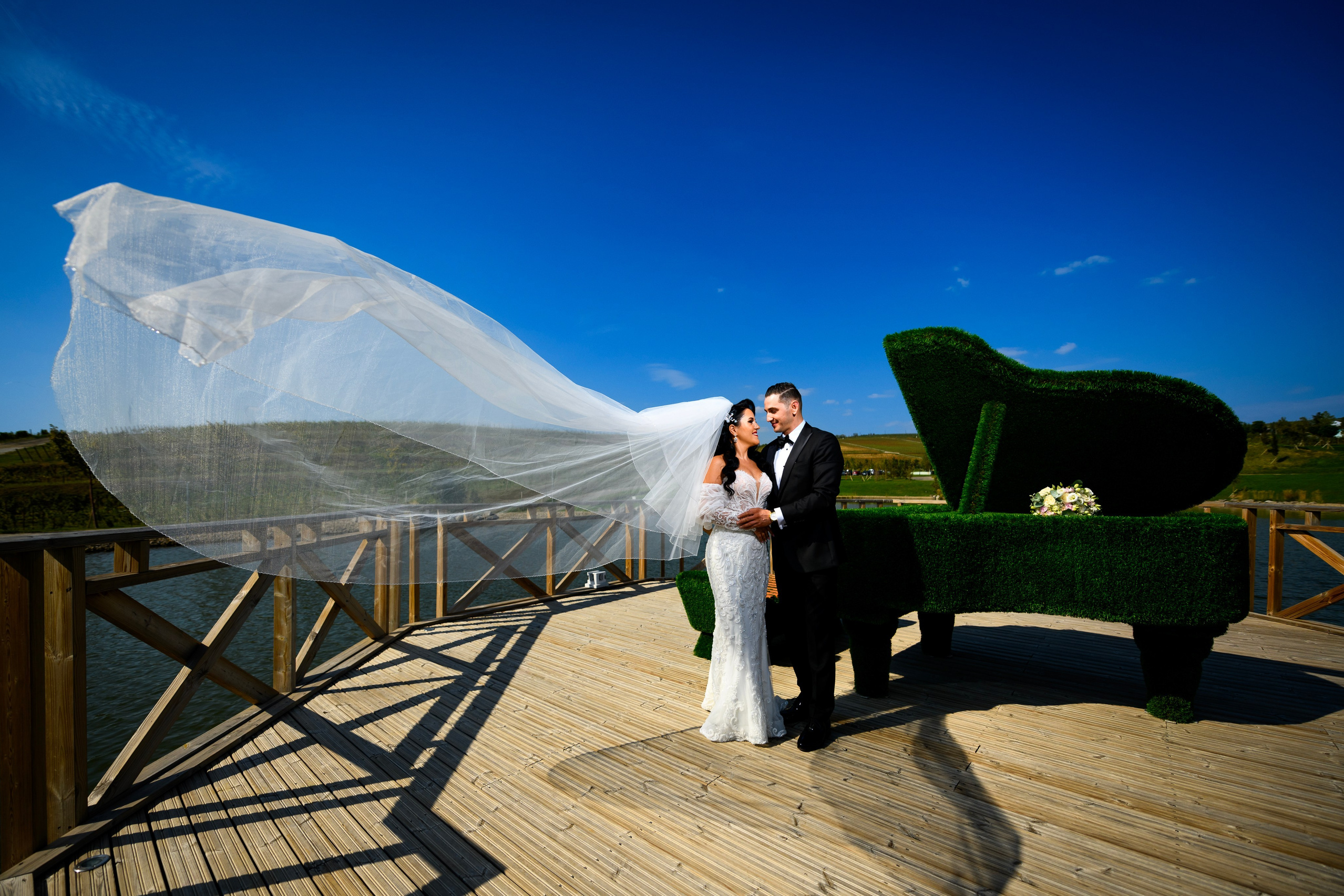 Alin Doana Visual Art