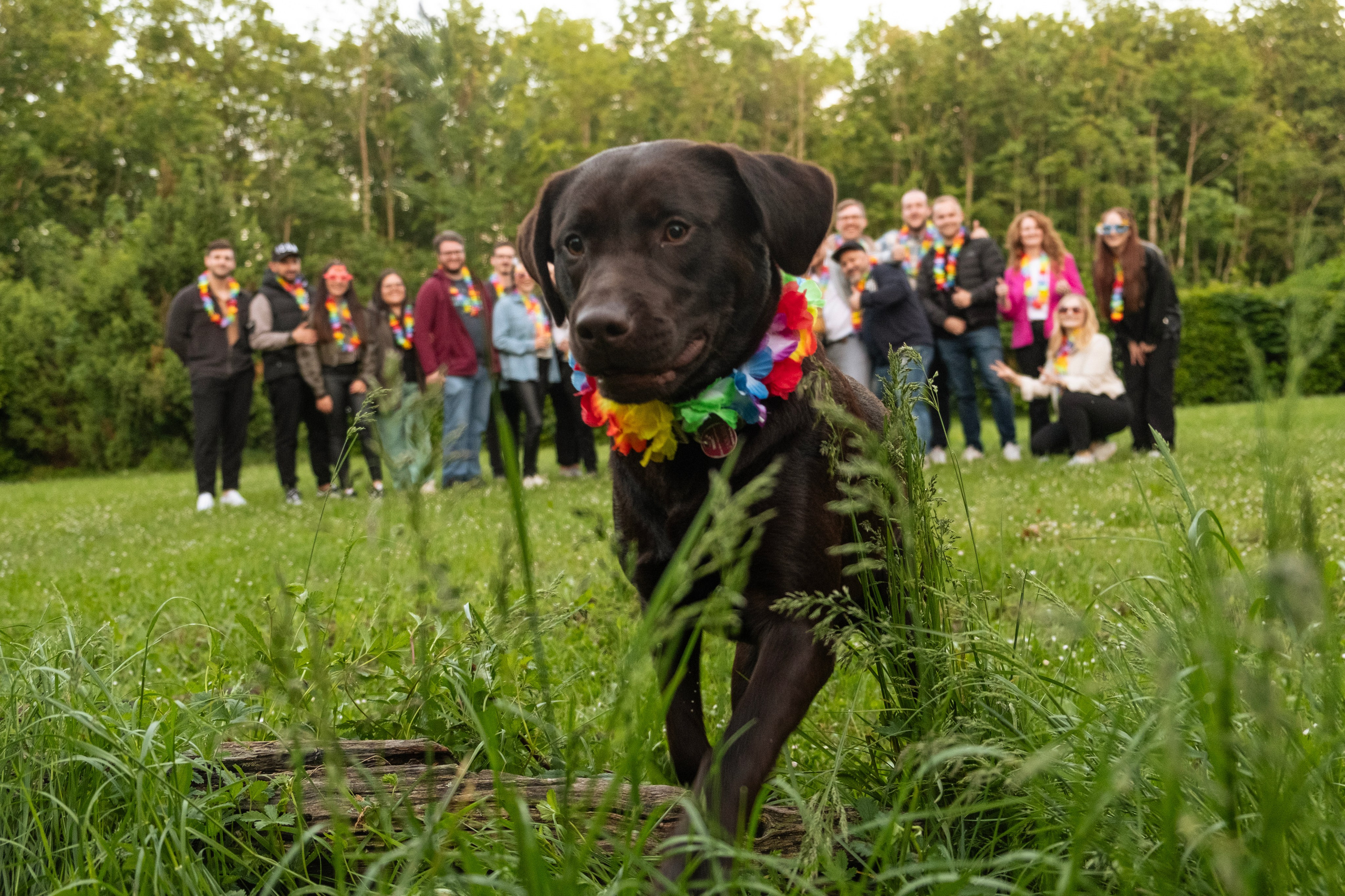 30 Jahre Michael Walter – Ein Rückblick auf eine besondere Geburtstagsparty. RawPeek