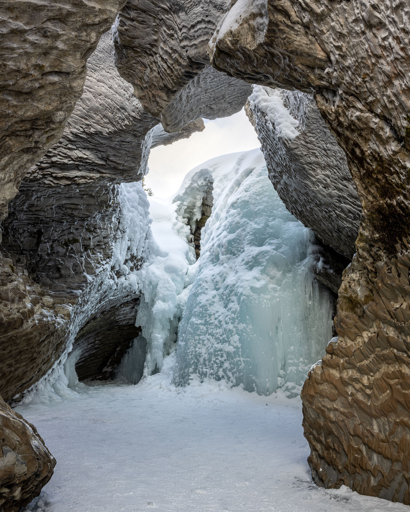 Photographing Winter Wonderland — Canada. Alex Mironyuk Photography