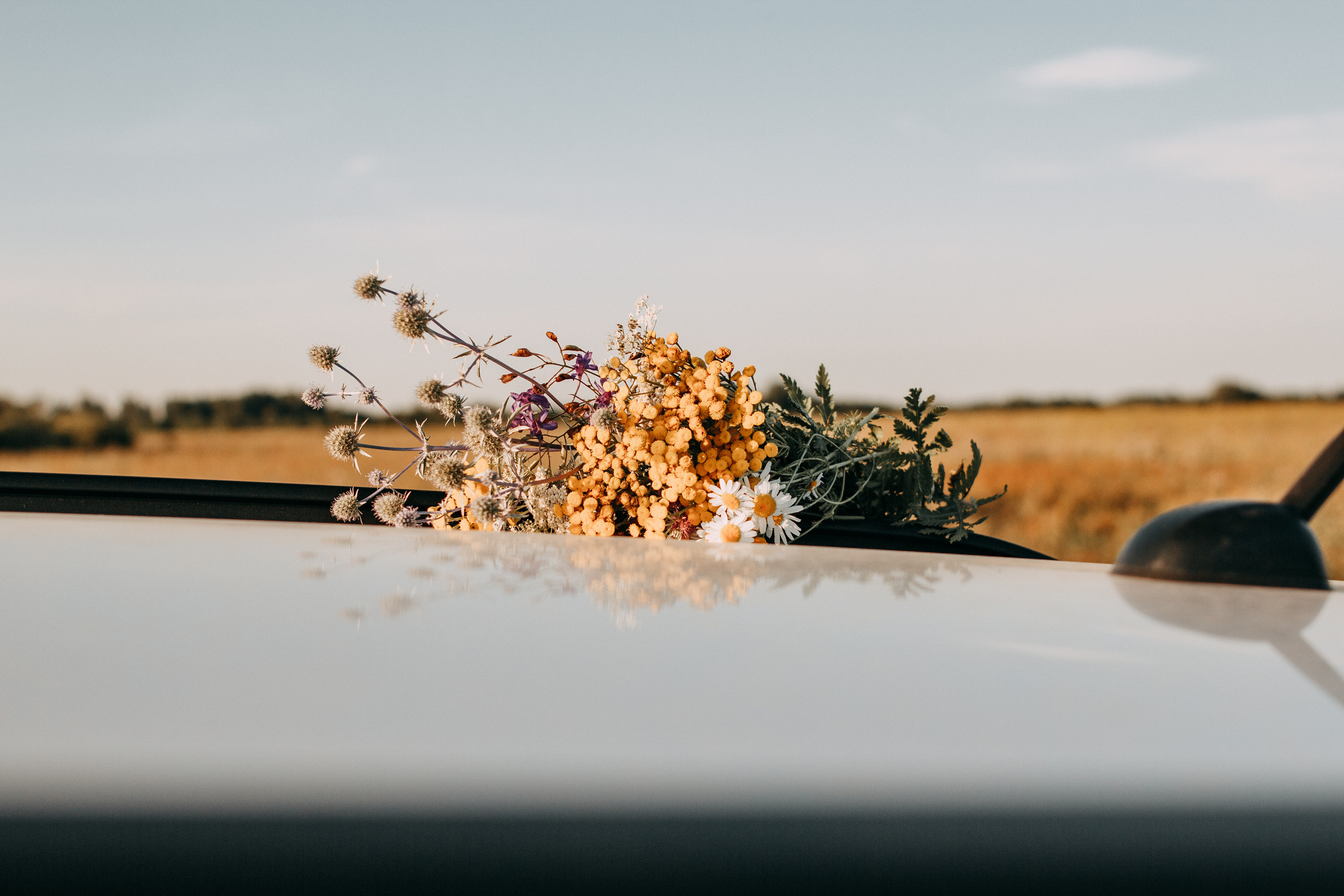 Меня зовут Катя, я фотографирую в городе Батуми (Аджария, Грузия).Я снимаю:камерные свадьбы и свадьбы для двоих;лавстори;индивидуальные женские фотосессии.Снимаю как на улице, так и в фотостудиях. Помимо этого фотосессию можно провести в кафе, в музее, в библиотеке, у вас дома и т. д.Посмотреть мое портфолио вы можете в меню сайта, в группе ВКонтакте и в моем Instagram.  