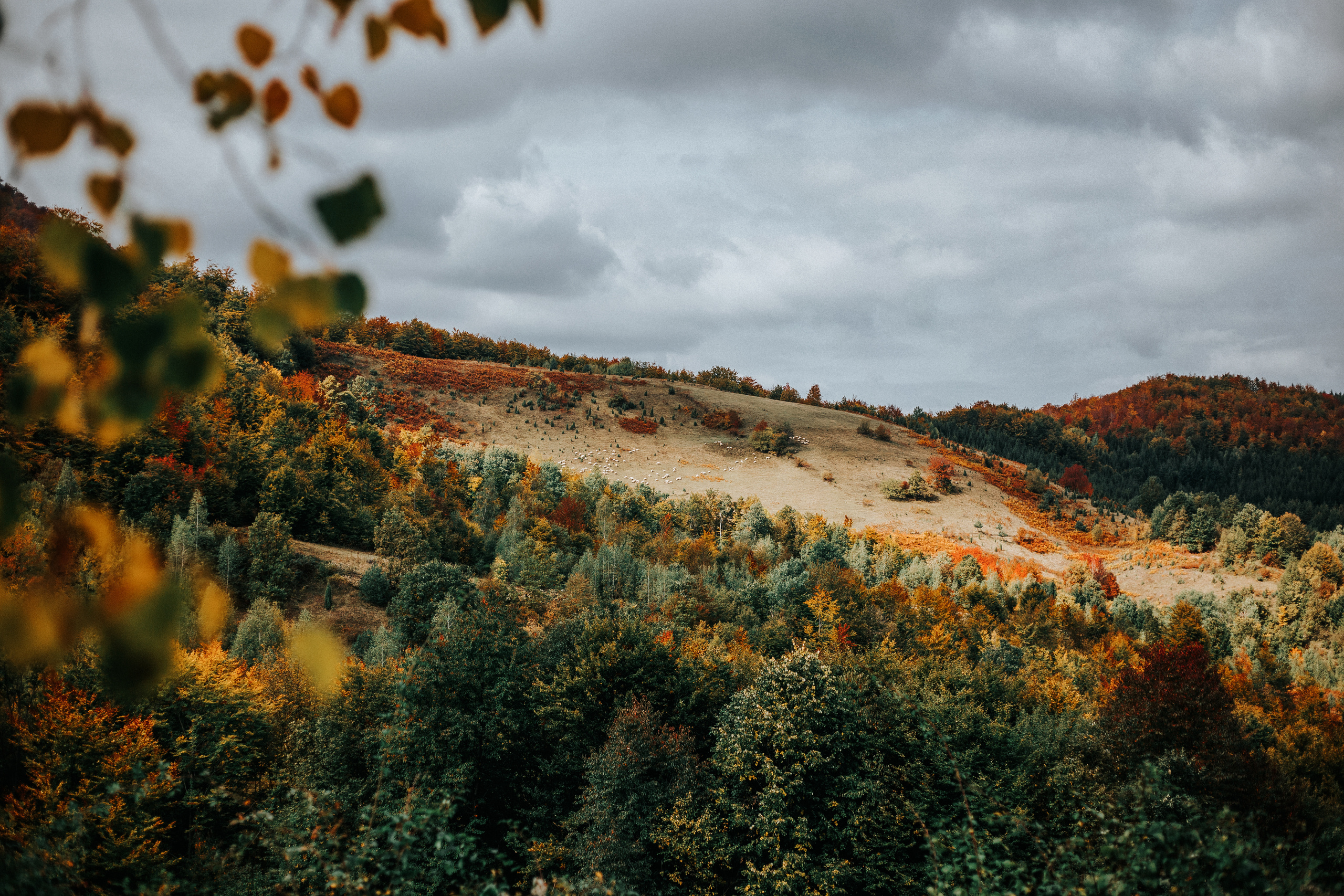 Potraga za svojim korenima. Mark Smilyanic | Portretni boudoir fotograf iz Beograda