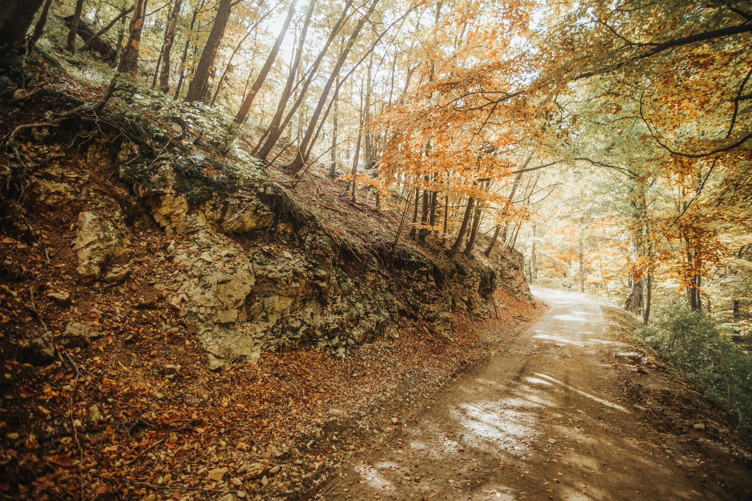 Potraga za svojim korenima. Mark Smilyanic | Portretni boudoir fotograf iz Beograda