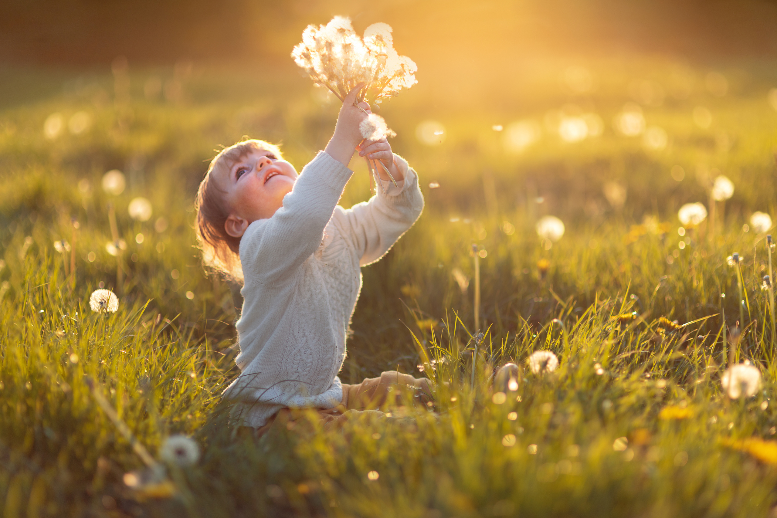 Fine Art photographer in Luxembourg Anastasia Arend