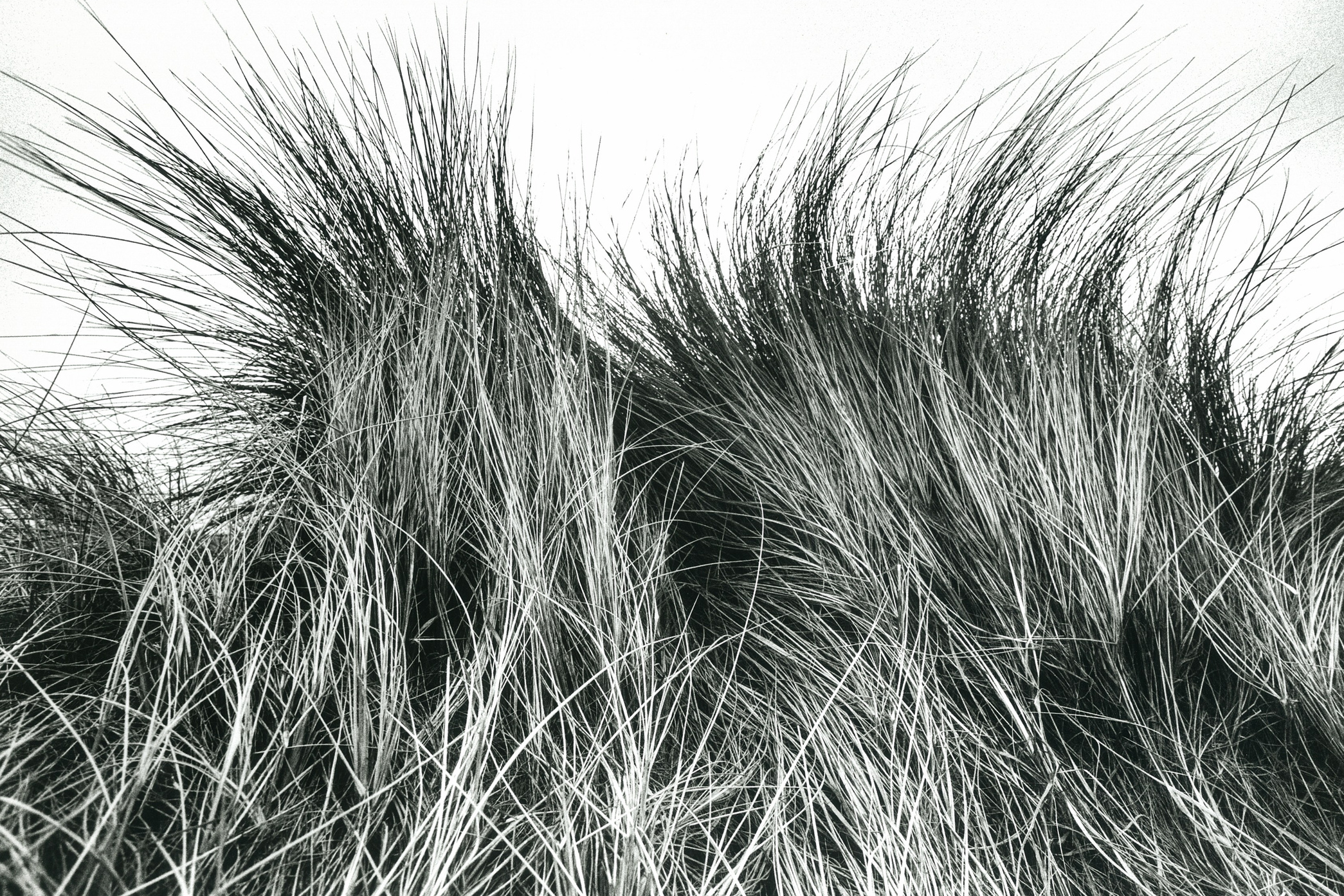 Katerina Kiper Photography