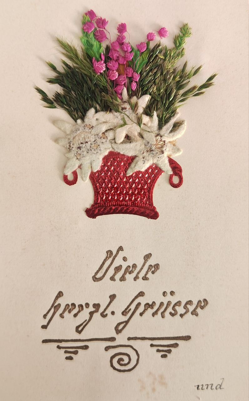 Handmade postcard art: vintage botanical. Photographer, collector of vintage postcards, and creator of stories at the intersection of the past and the personal. Irina Dainakova