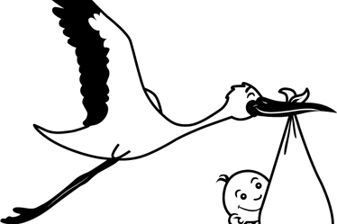 Records Services