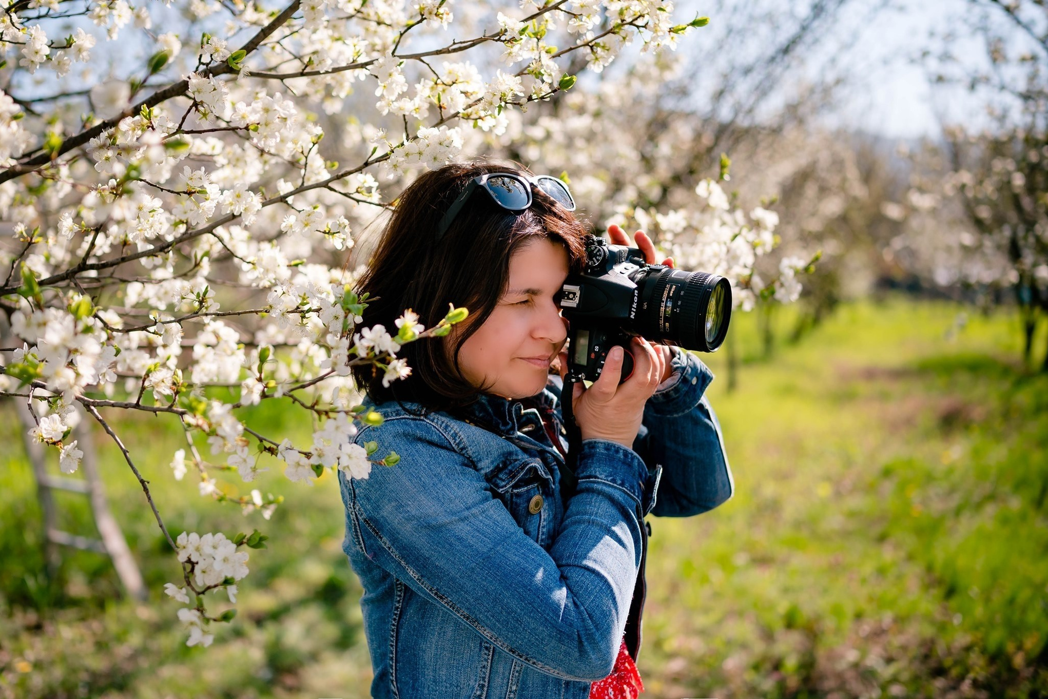 Services. Ligiafoto.ro