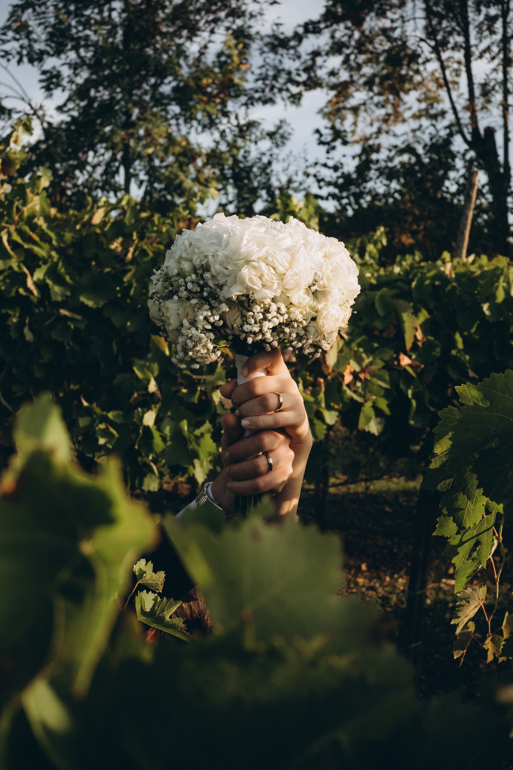 Contatti. Fotografo di matrimonio ed eventi ad ariano irpino