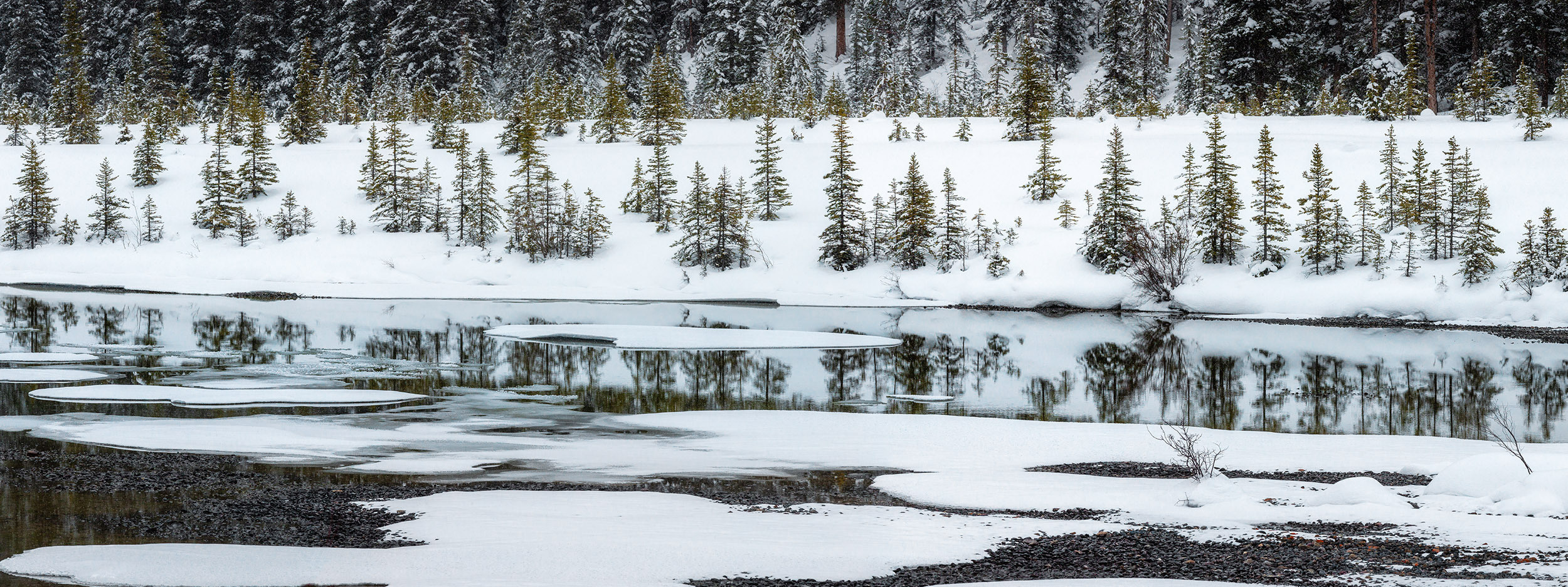 Photographing Winter Wonderland — Canada. Alex Mironyuk Photography