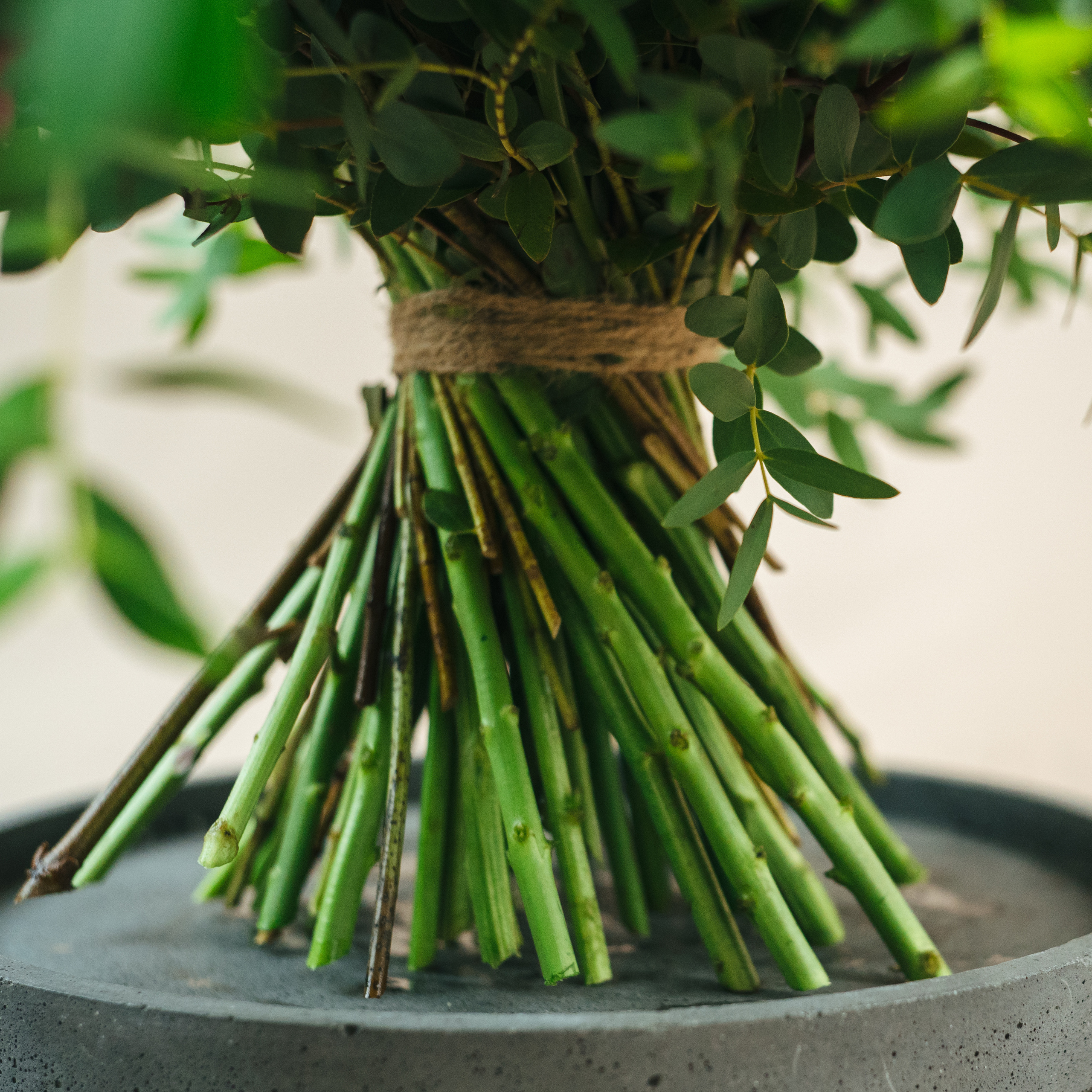 Tematska fotografija: keramika, floristika. Photographer Mariia Bortiakova