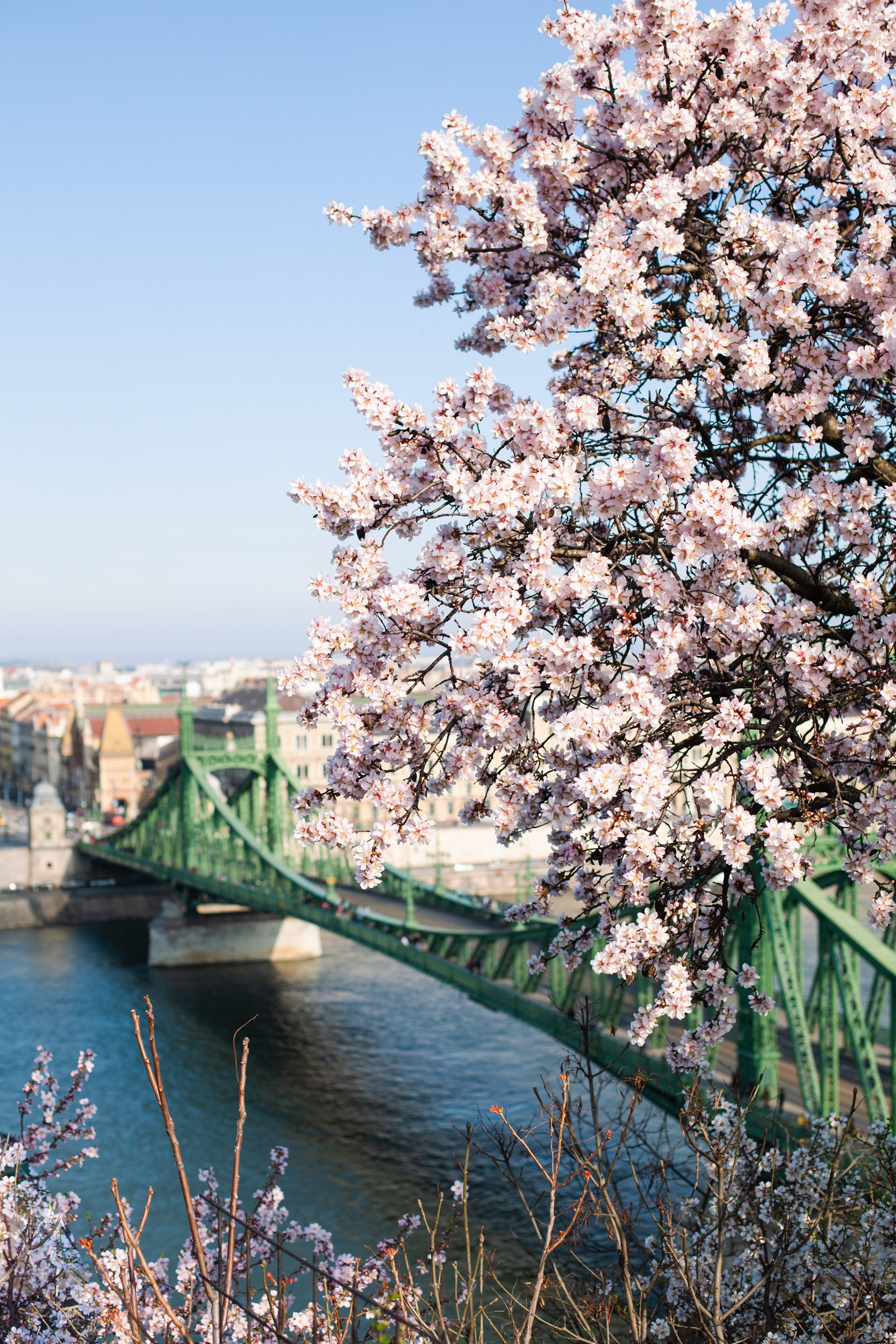 Фотосессия в Будапеште — Зеленый мост. Photographer in Budapest