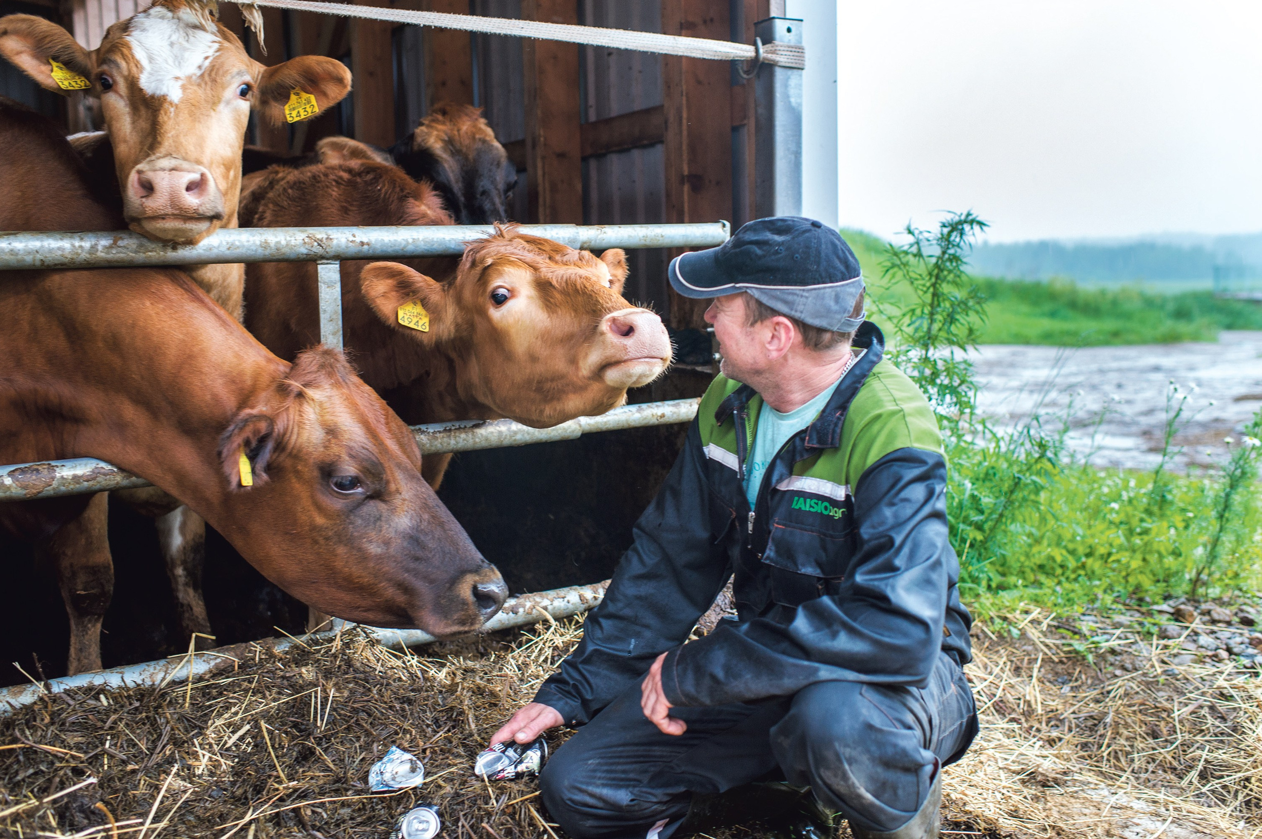 Palvelut ja hinnasto. Valokuvaaja Lahti, Helsinki Elena Salonen