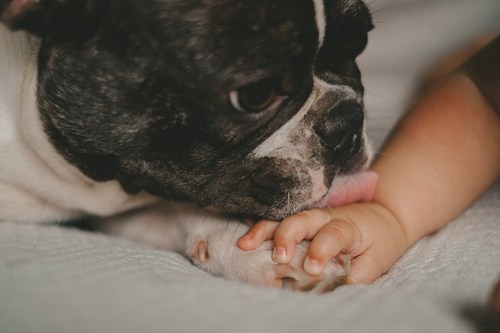 Familie. Eure authentischen Familien- & Newbornmomente –erzählt in Fotos & Videos