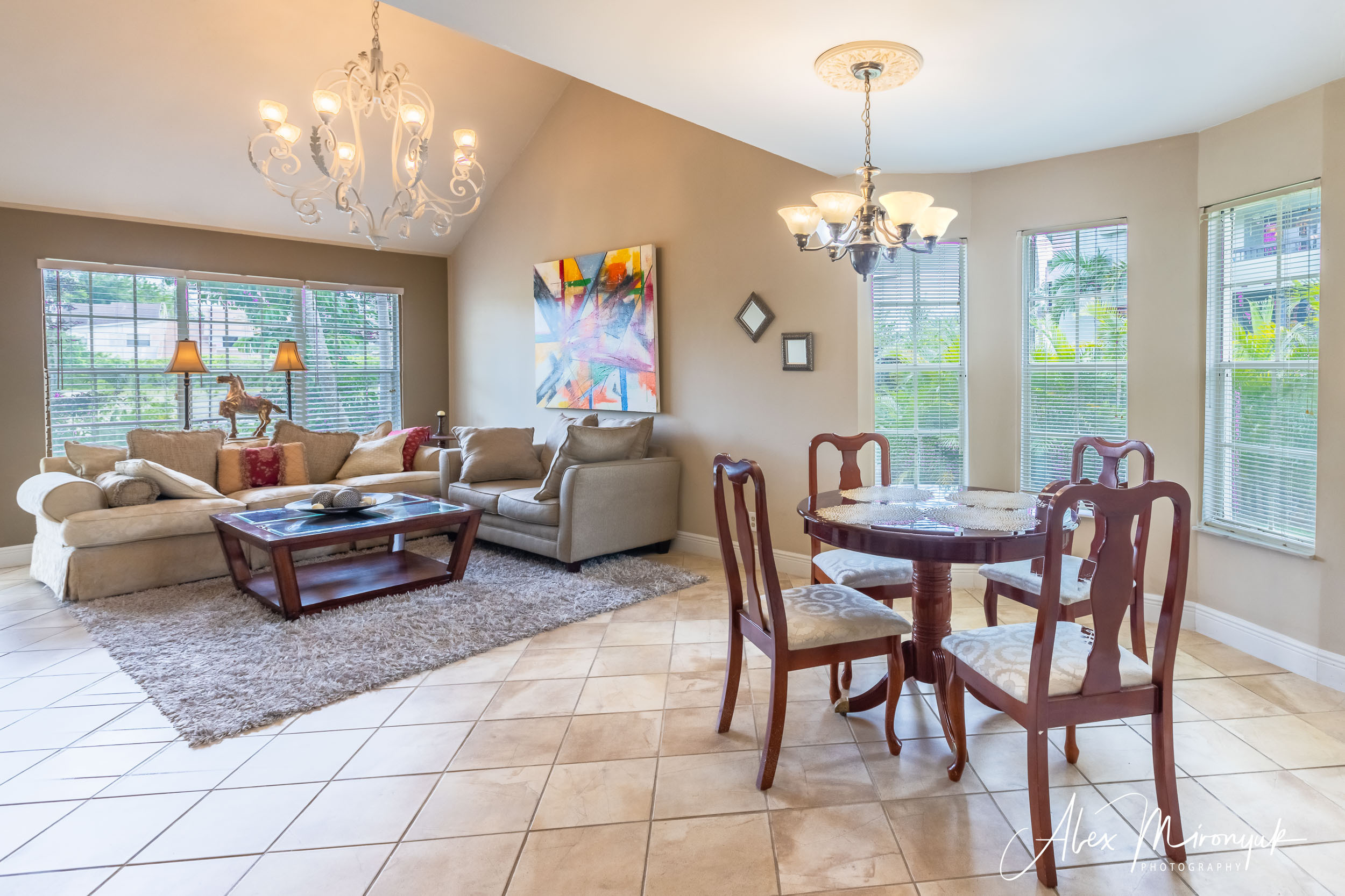 Real Estate Drone Photography. Pet, Senior, Landscape, portrait studio, photographer in Miami and Sou
