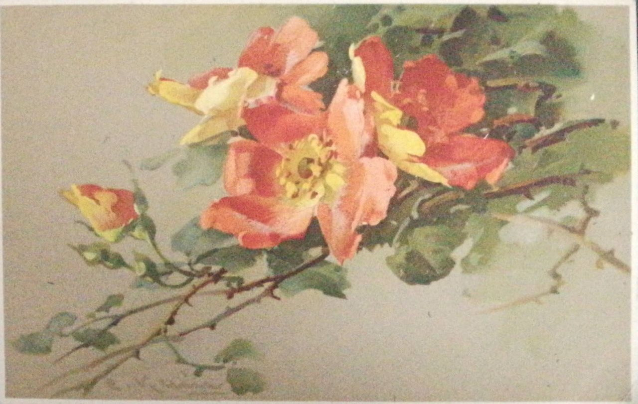 Vintage-Postkarten – Stillleben von Catharina Klein. Fotografin, Sammlerin von Vintage-Postkarten und Schöpferin von Geschichten an der Schnittstelle zwischen Vergangenheit und Persönlichem. Ir