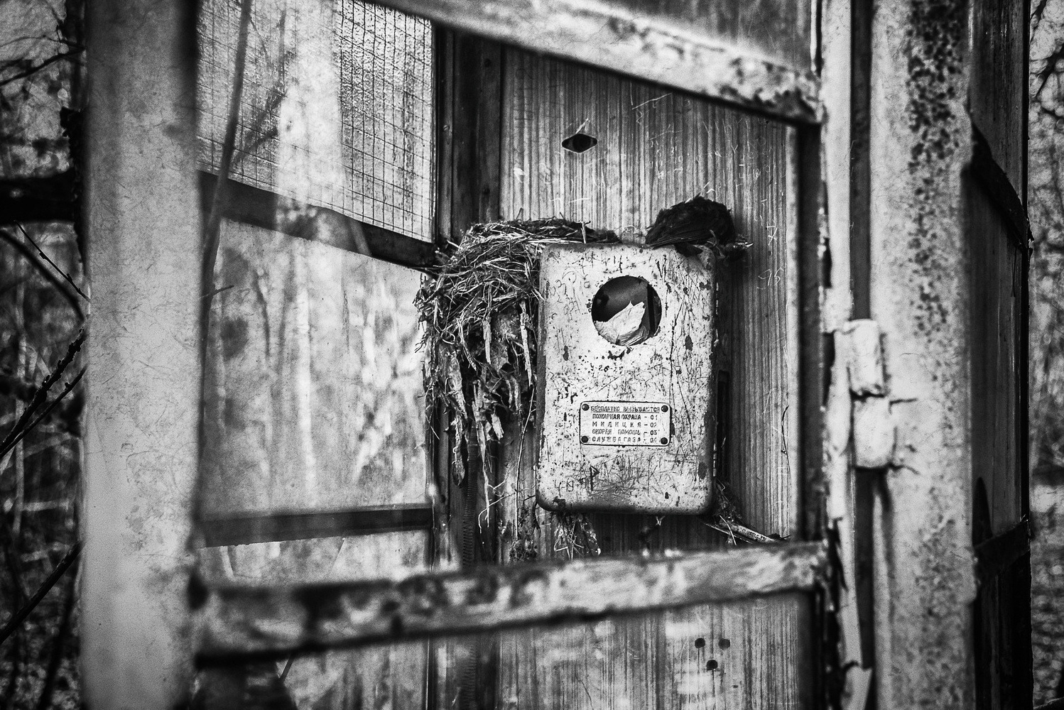 «ОСТАВЛЕННЫЙ» — город Припять после аварии на Чернобыле. Фотограф, коллекционер винтажных открыток и создатель историй на пересечении прошлого и личного. Ирина Дайнакова