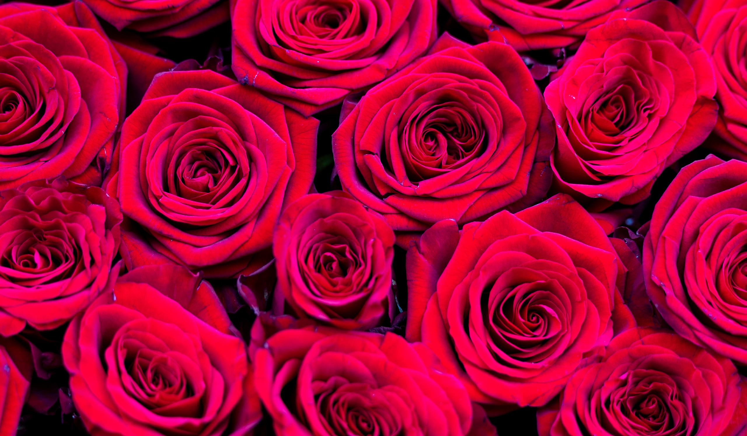 Er du på udkig efter en blomsterbutik i hjertet af Aarhus? Blomsterbutik Tordenskjoldsgade – Akropolis Blomster – byder på et bredt udvalg af friske blomster og smukke buketter til alle anledninger. Uanset om du skal fejre en speciel begivenhed eller bare forkæle dig selv, finder du altid noget unikt hos os. Kom forbi vores butik på Tordenskjoldsgade og lad vores dygtige florister hjælpe dig med at finde den perfekte blomst. Hos Akropolis Blomster er kundeservice og kvalitet altid i højsædet.