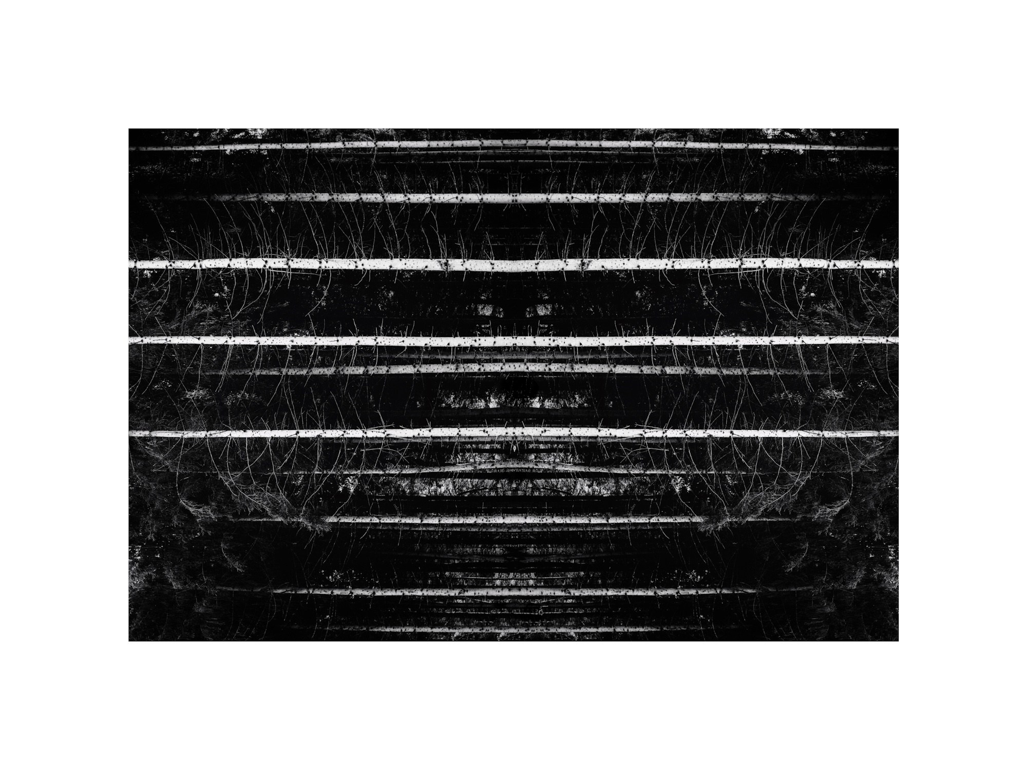 Gallery. Olga Häckel