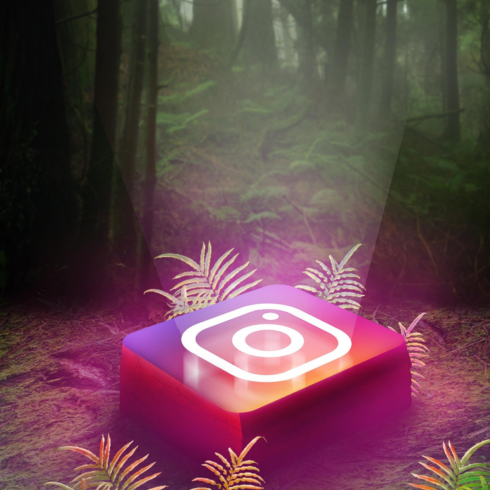 Despre mine. Cătălin Lazăr Photography — Fotografie de nuntă și evenimente premium în România și Europa