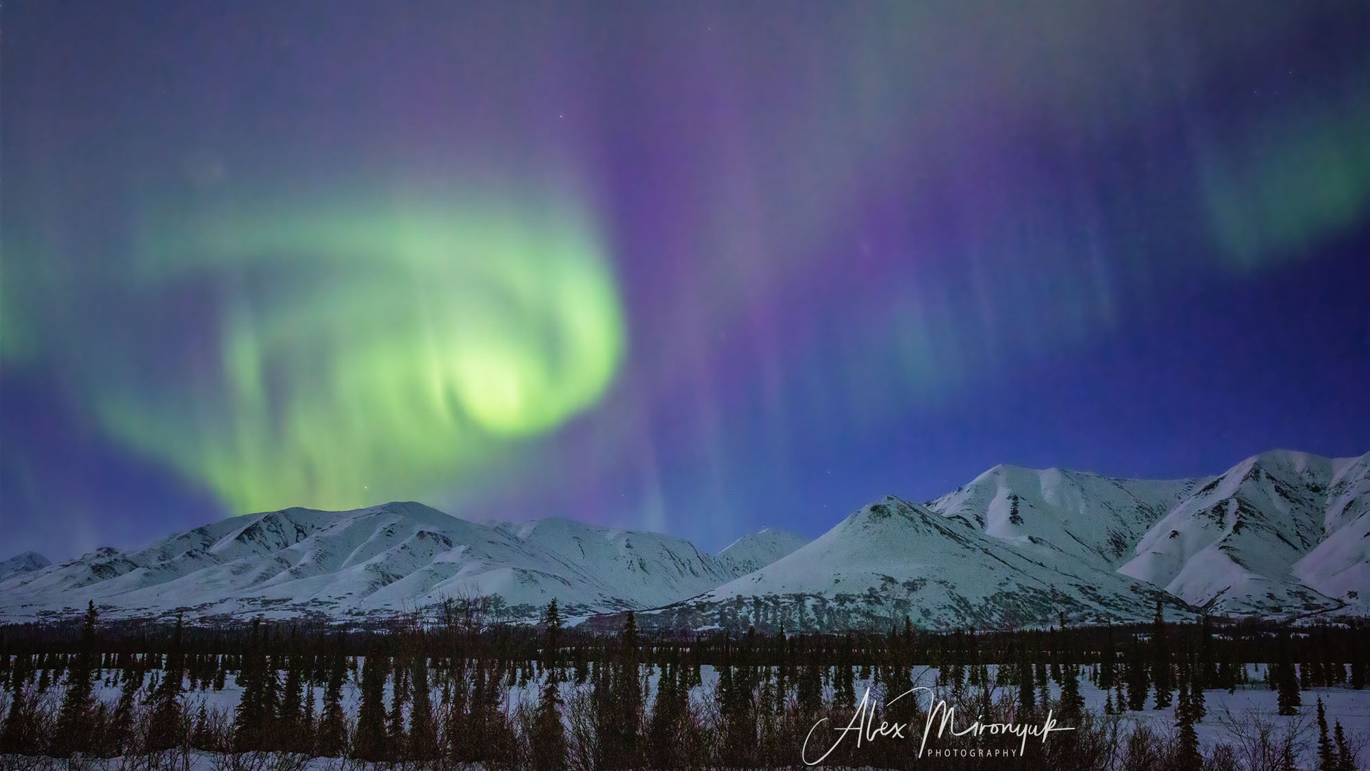 Chasing the Aurora Borealis. Alex Mironyuk Photography