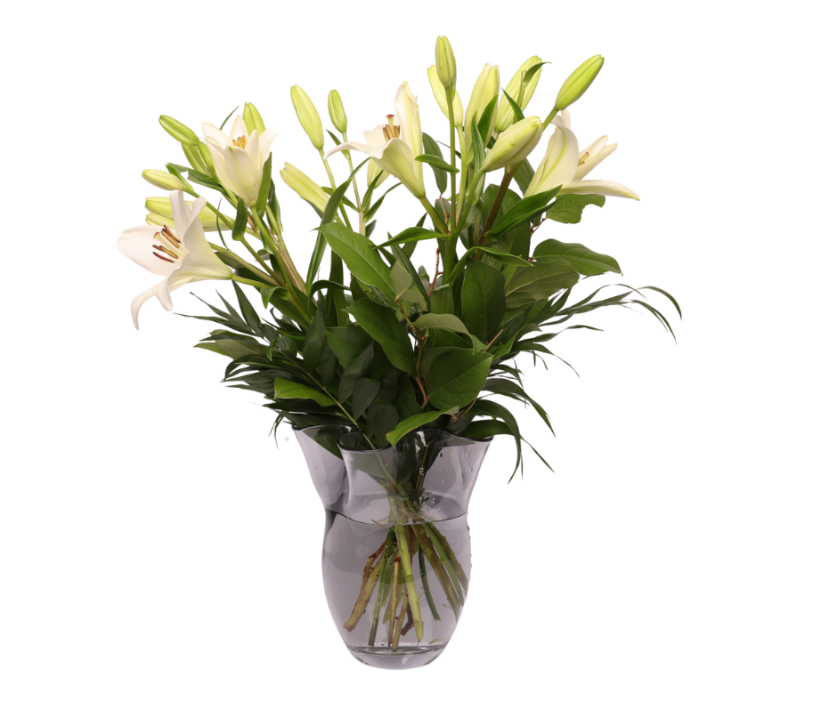 Hos Akropolis Blomster i Aarhus finder du et stort udvalg af smukke og friske buketter, bundet med kærlighed og kreativitet. Uanset om du skal bruge en buket til fødselsdag, værtindegave, kærlighed eller “bare fordi”, har vi altid håndbundne buketter klar i butikken – eller vi laver én helt efter dine ønsker.Vi bruger sæsonens bedste blomster og sørger for, at hver buket bliver en lille oplevelse i sig selv. Kom forbi butikken, eller få levering af buketter i Aarhus – hurtigt og nemt.