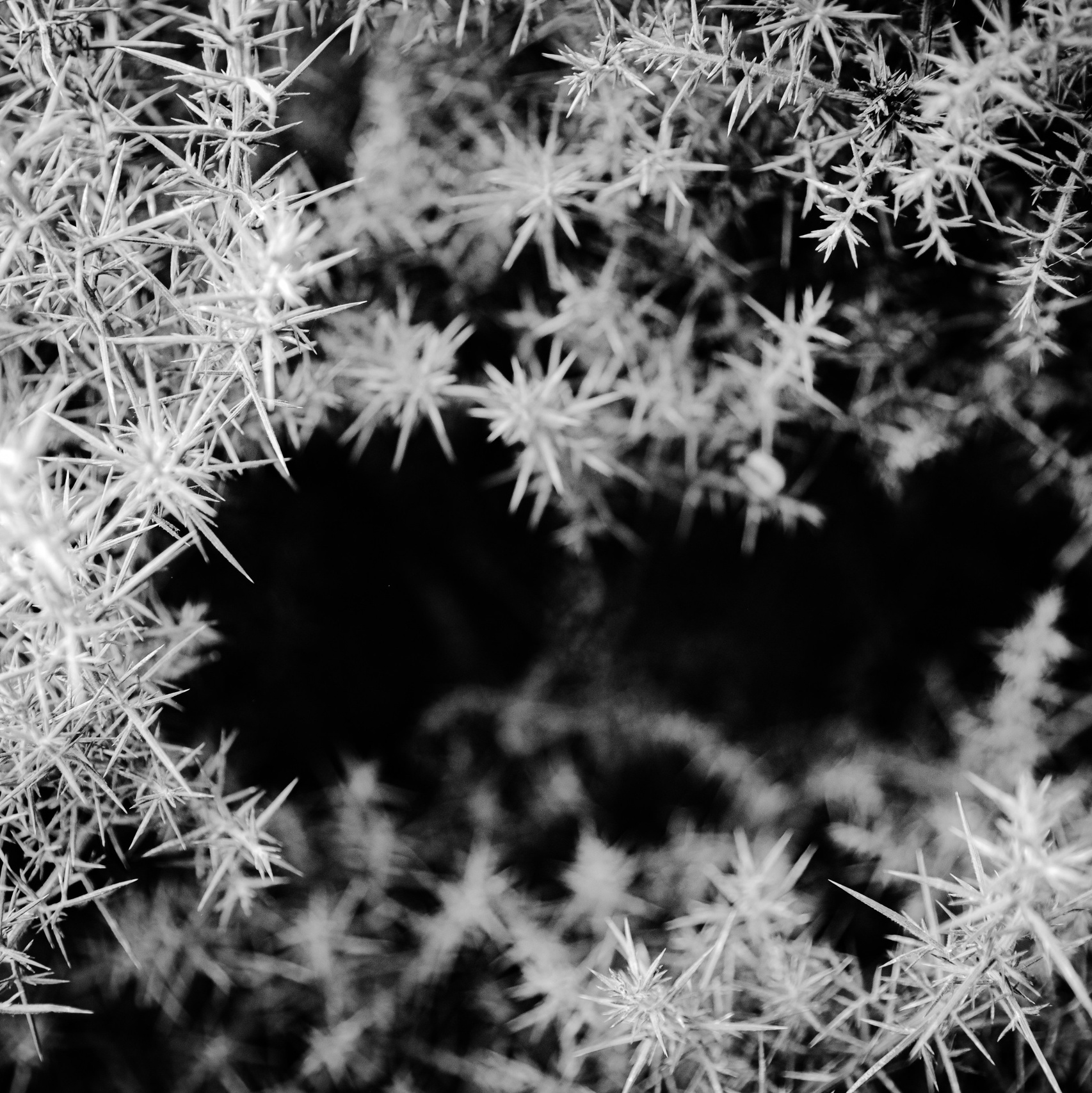 Film. Lifestyle & Documentary Photography in Bristol, Bath & London — def0cused