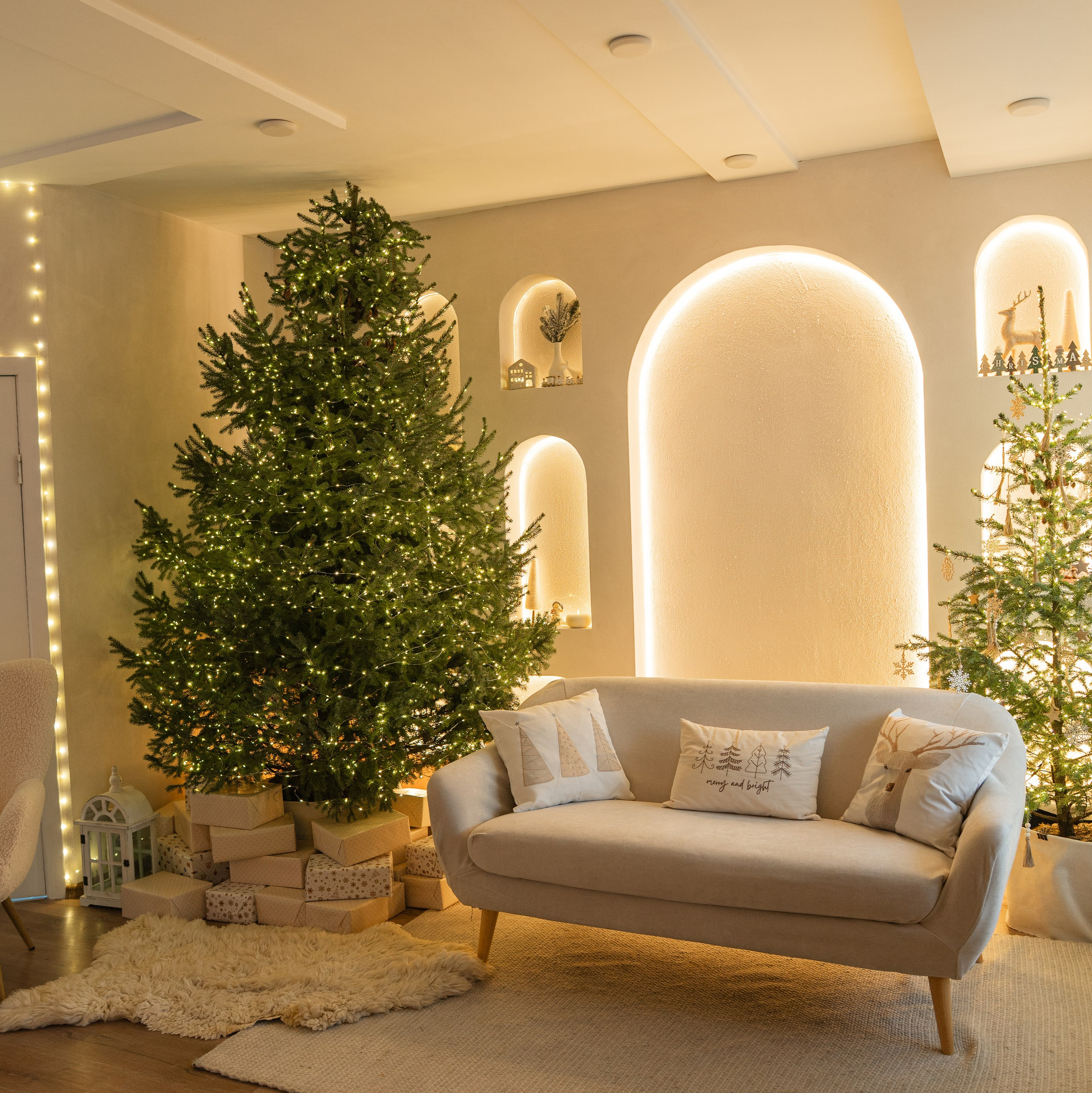 Контакты. SmArt Photo Studio Balti, Moldova