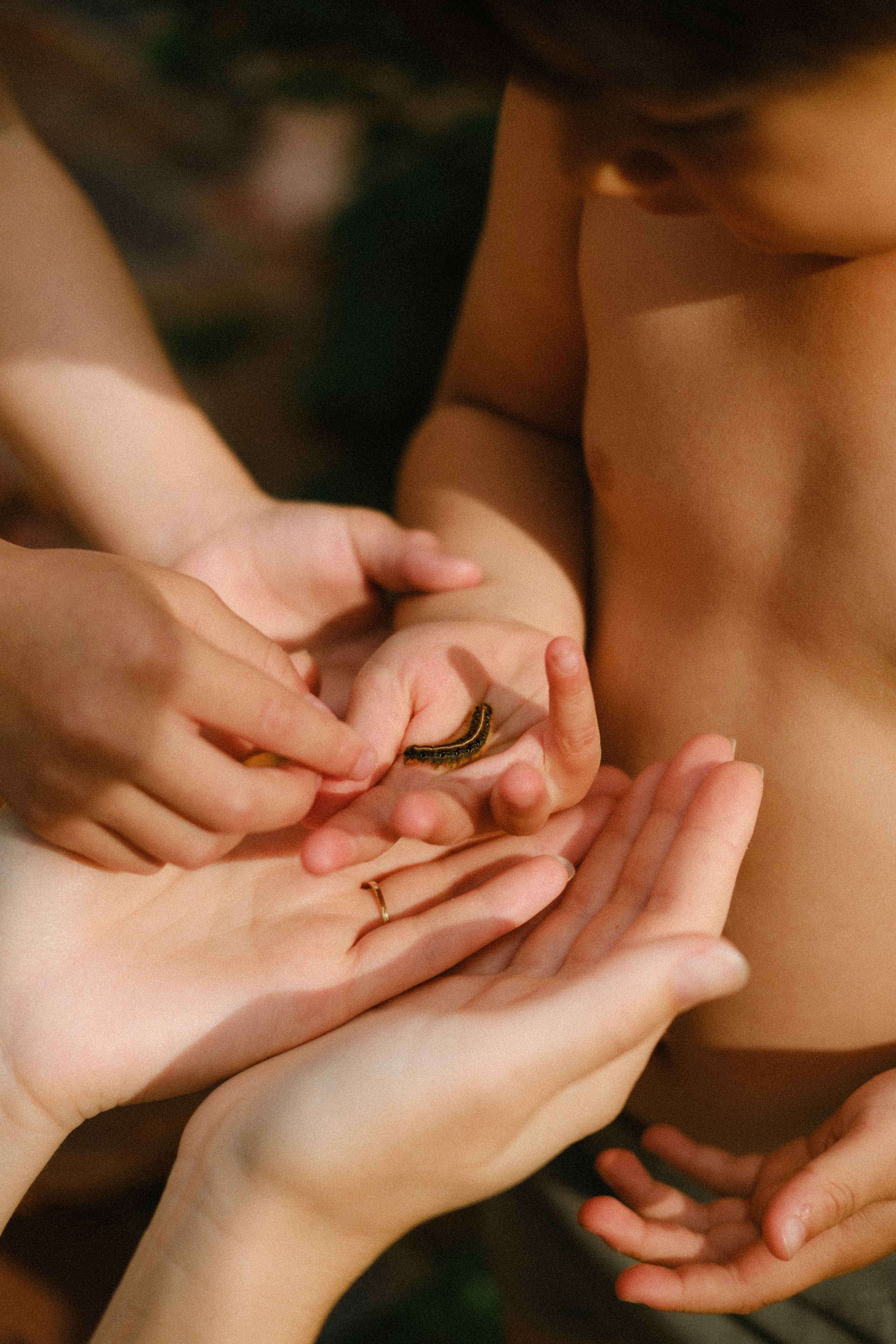 A photograph of young children holding a caterpillar in their hands