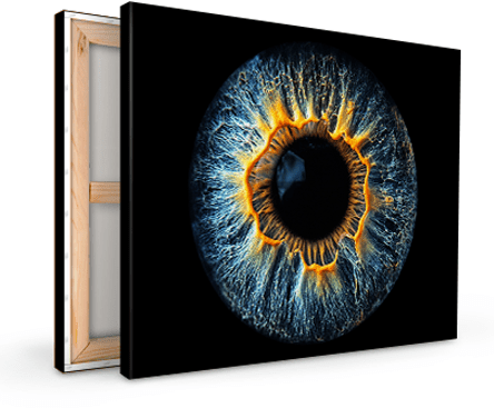 Hi, my name is Eric T and I am Iris photographer