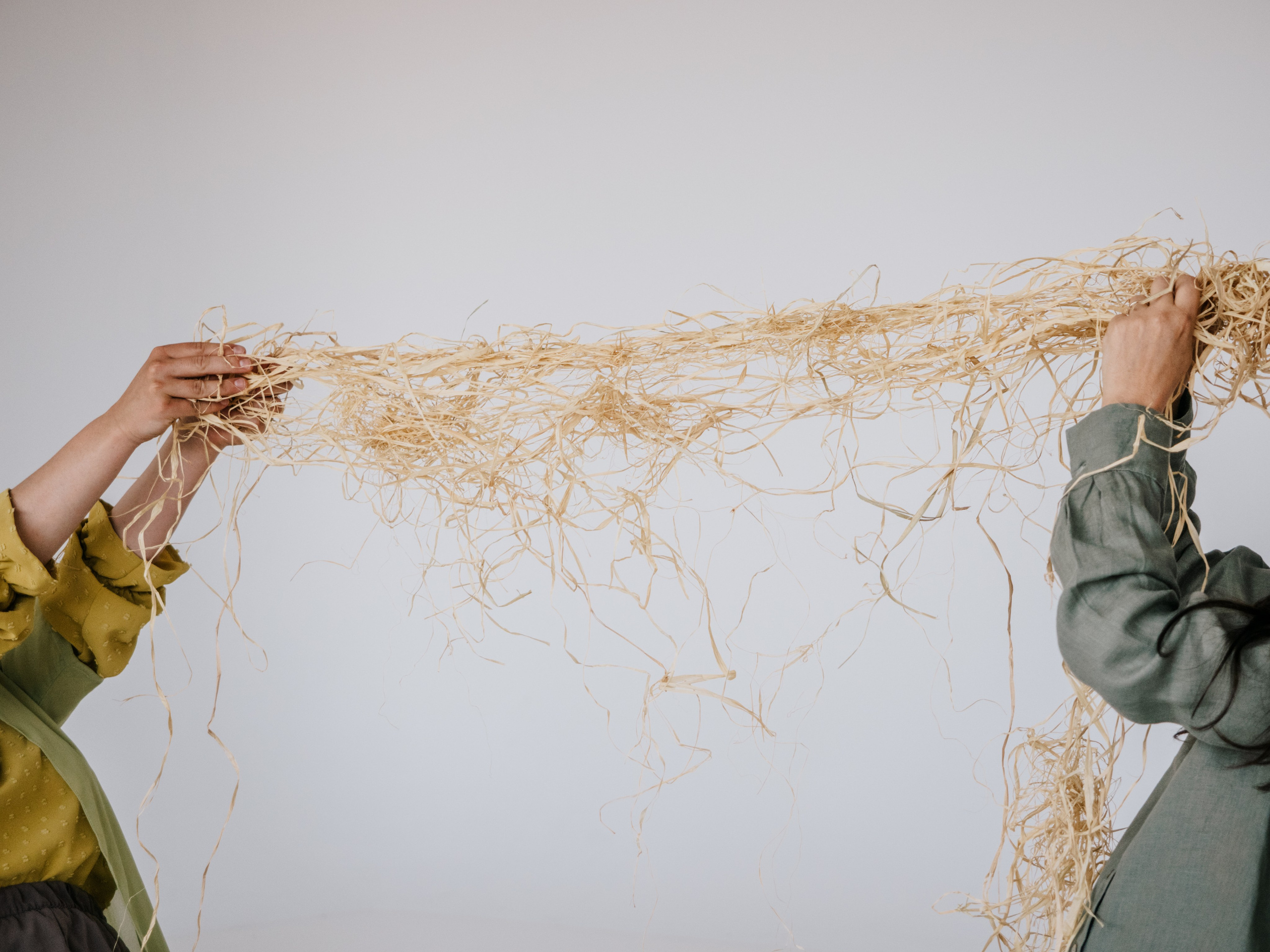 Hands pulling on straw.