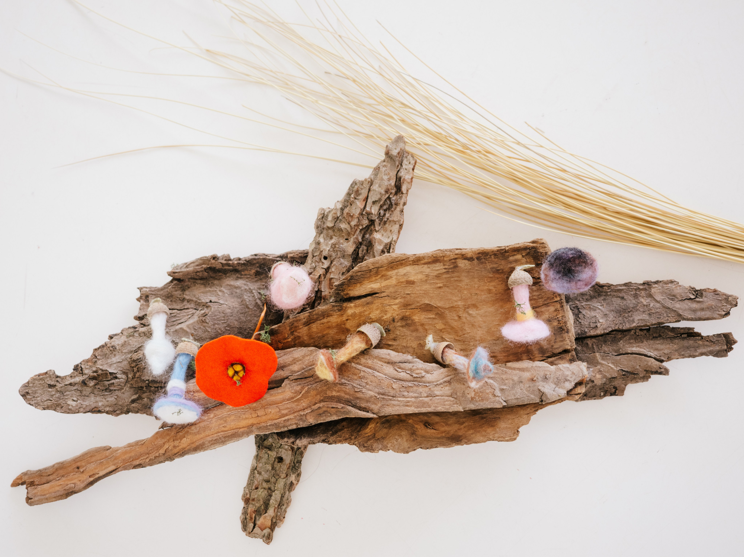 Flatlay of natural elements like wood, straw and flowers.