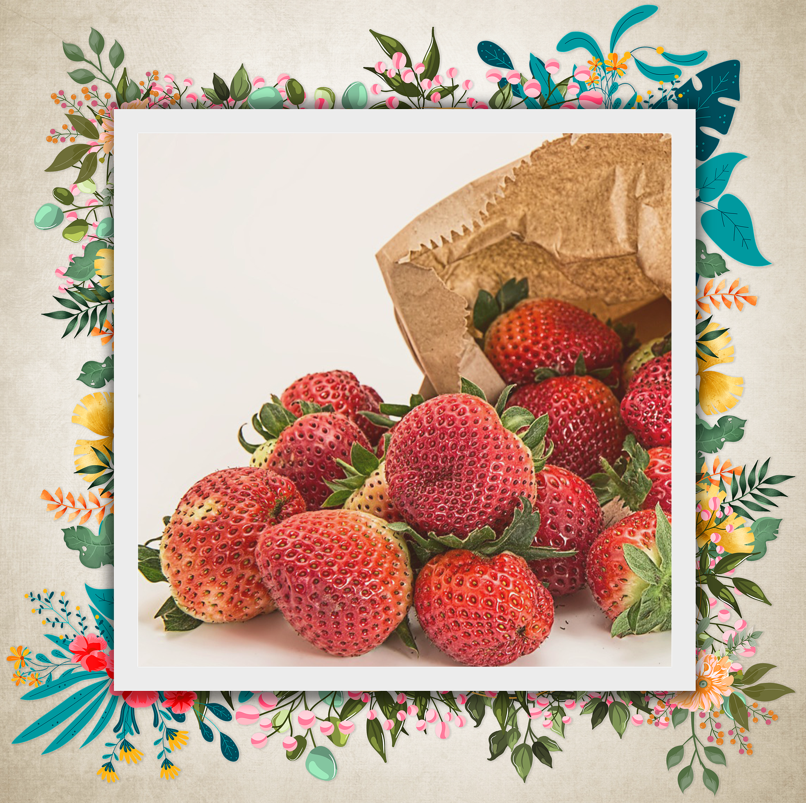 Фото видео услуги