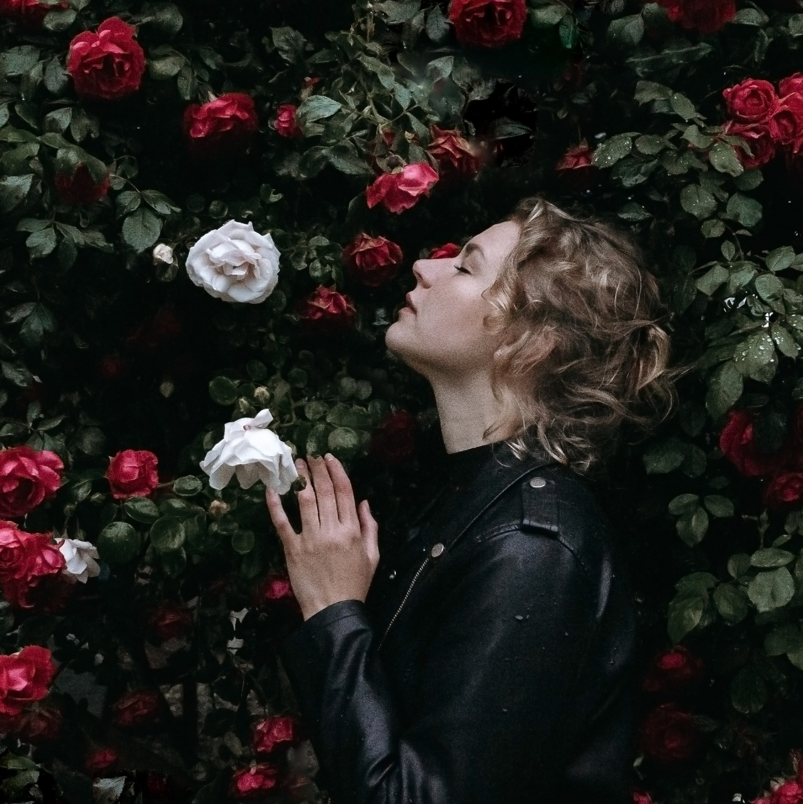 Music, Dance & Art. Alexandra Tesh Photographer in Landshut, Munich, Regensburg