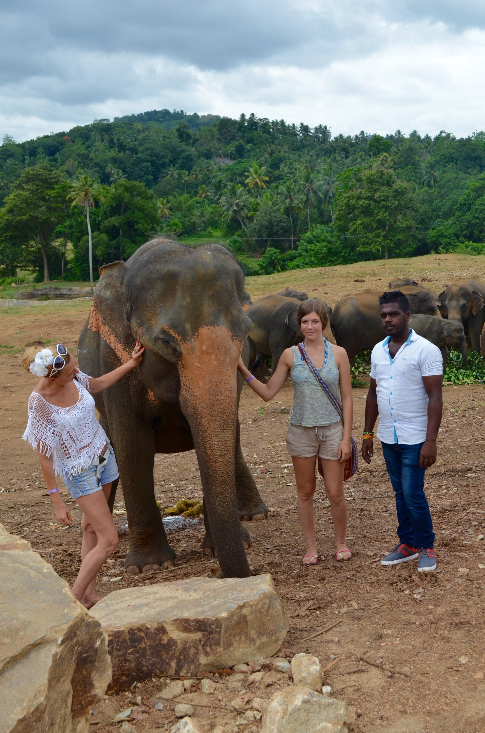 Шри-Ланка — Мальдивы. Mannequins, design, decoration, handmade, photographe…