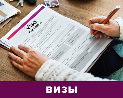 Визы