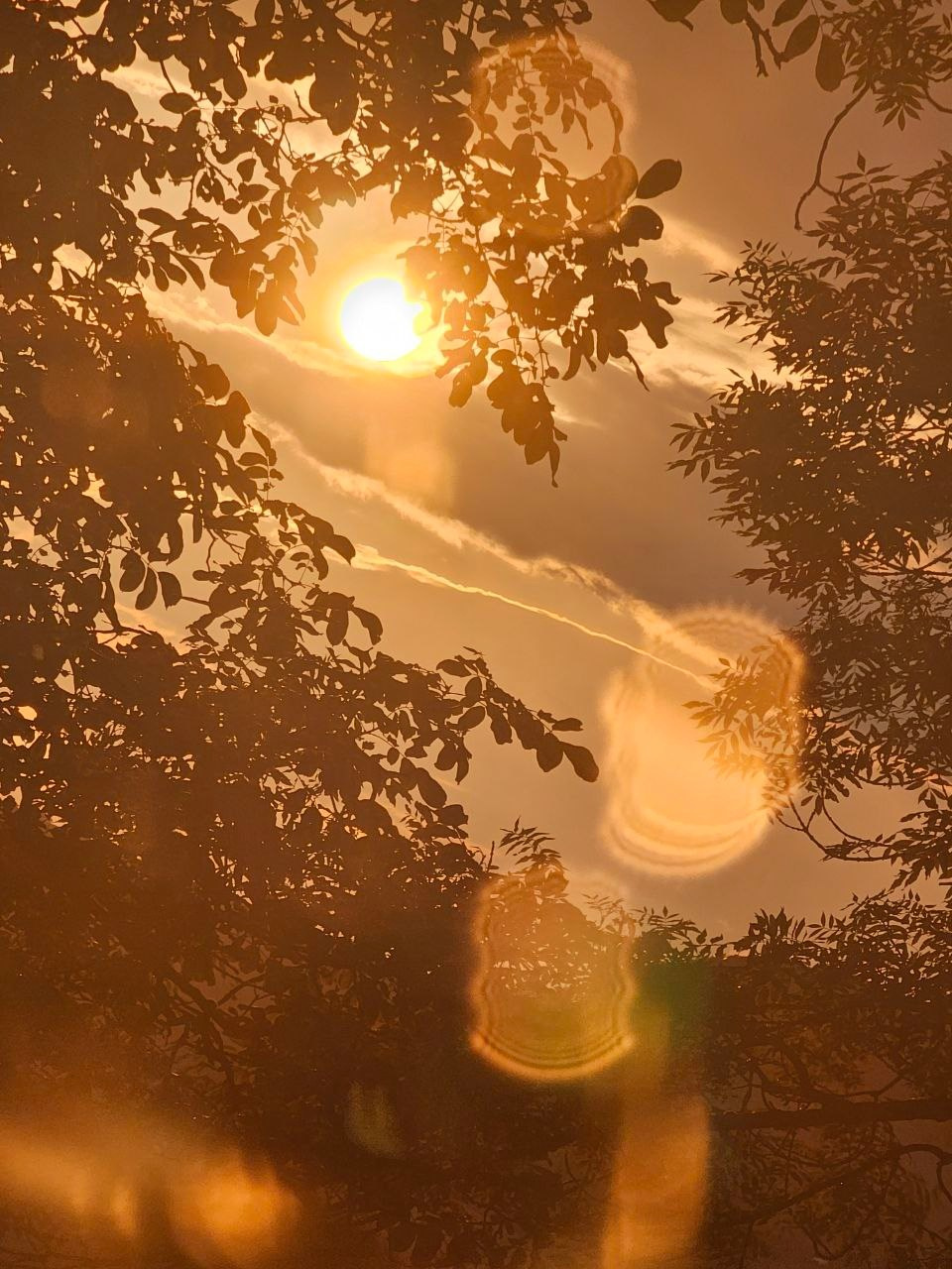 FERIENDORF JOURNAL. Schwarz-weiß Fotografie in Münster. Fotografin Viktoria Roschen