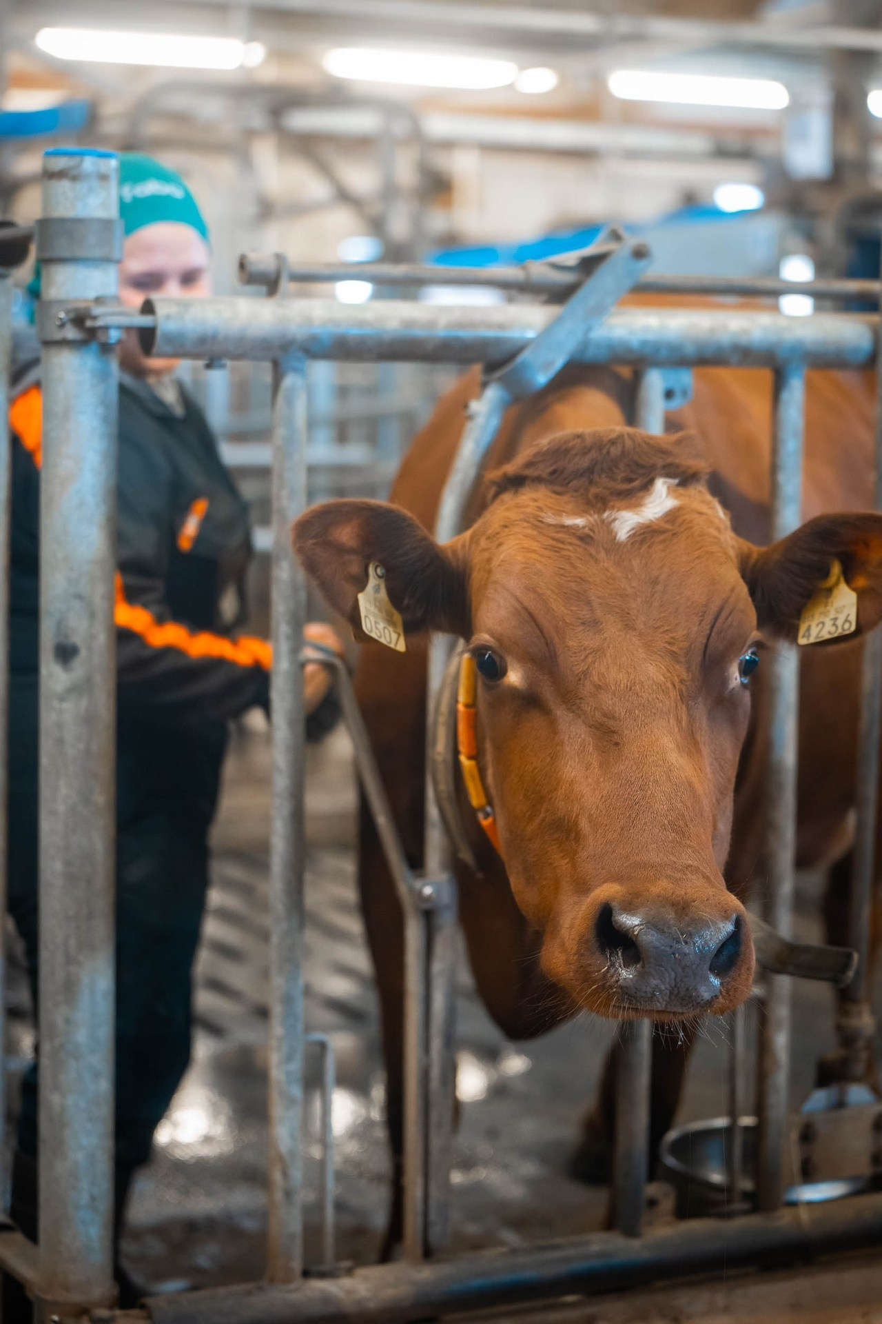 Asiakkaiden palautteet. Kinosura Creative Studio Helsingissa ja Kuopiossa