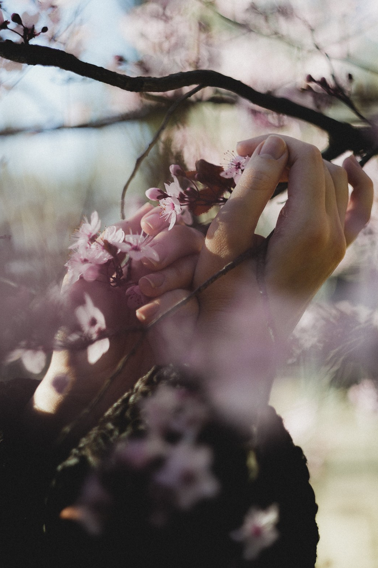 Sesión de fotos en Templo de Debod en primavera. Carlos Medina Fotógrafo de retratos ubicado en Madrid, España