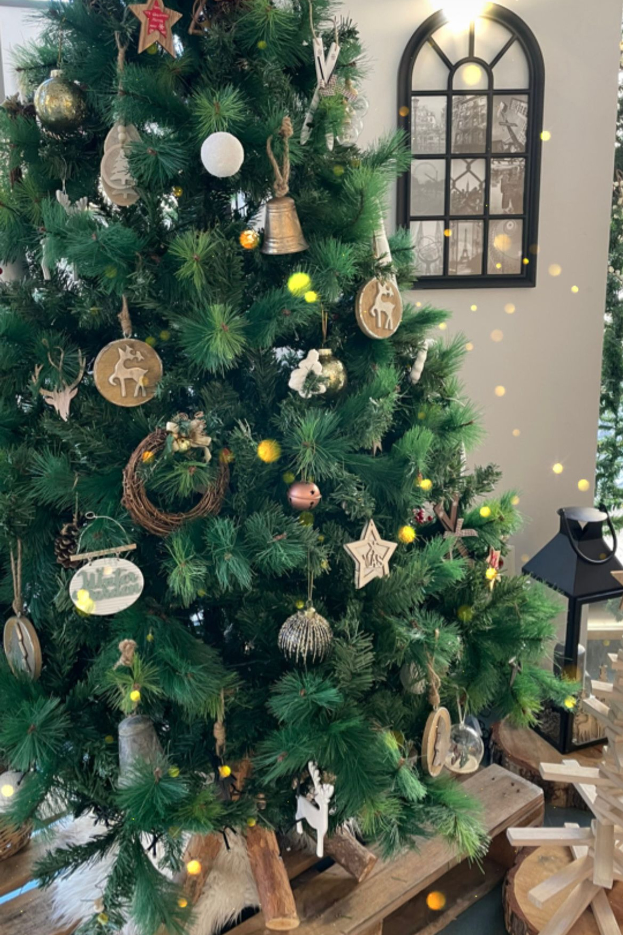 SESIONES DE NAVIDAD 2022. Fotografía de Eventos, Embarazo y Familiar en Pirineos