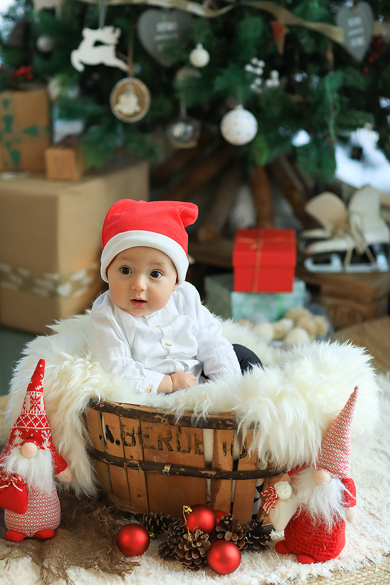 SESIONES DE NAVIDAD 2022. Fotografía de Eventos, Embarazo y Familiar en Pirineos