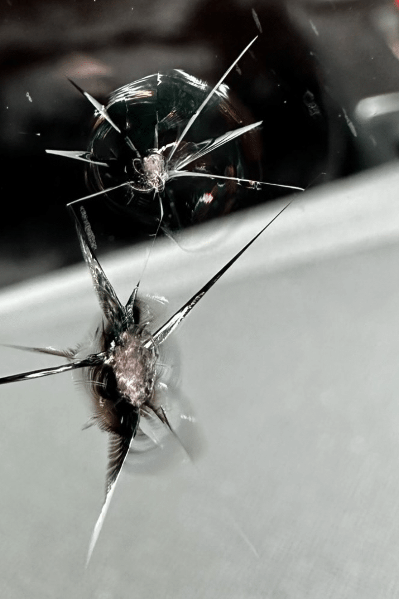 Кузовной ремонт вмятин Кишинев. Мастер Детейлинга / Автосервис / Ремонт Кузова PDR / Кишинёв