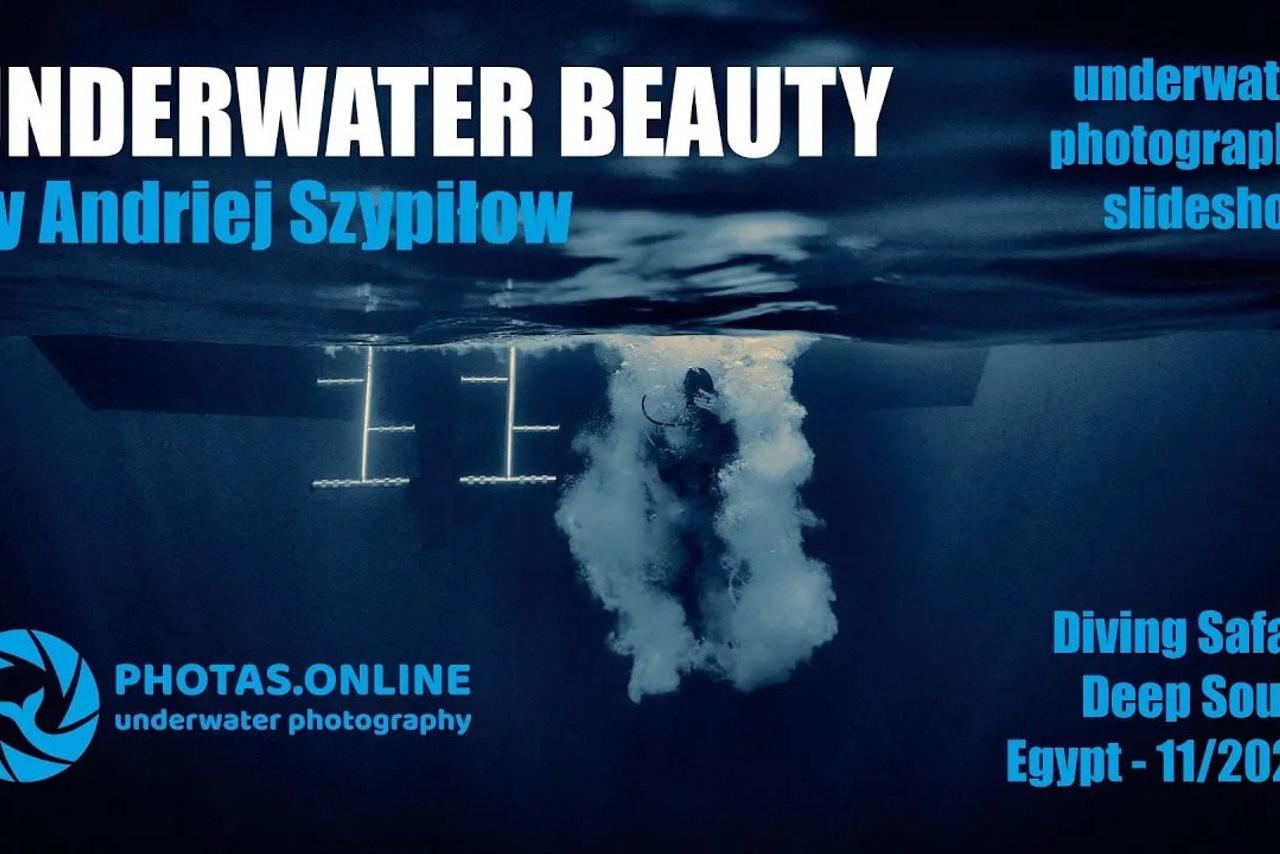 UNDERWATER BEAUTY - underwater photography slideshow from Red Sea Diving Safari